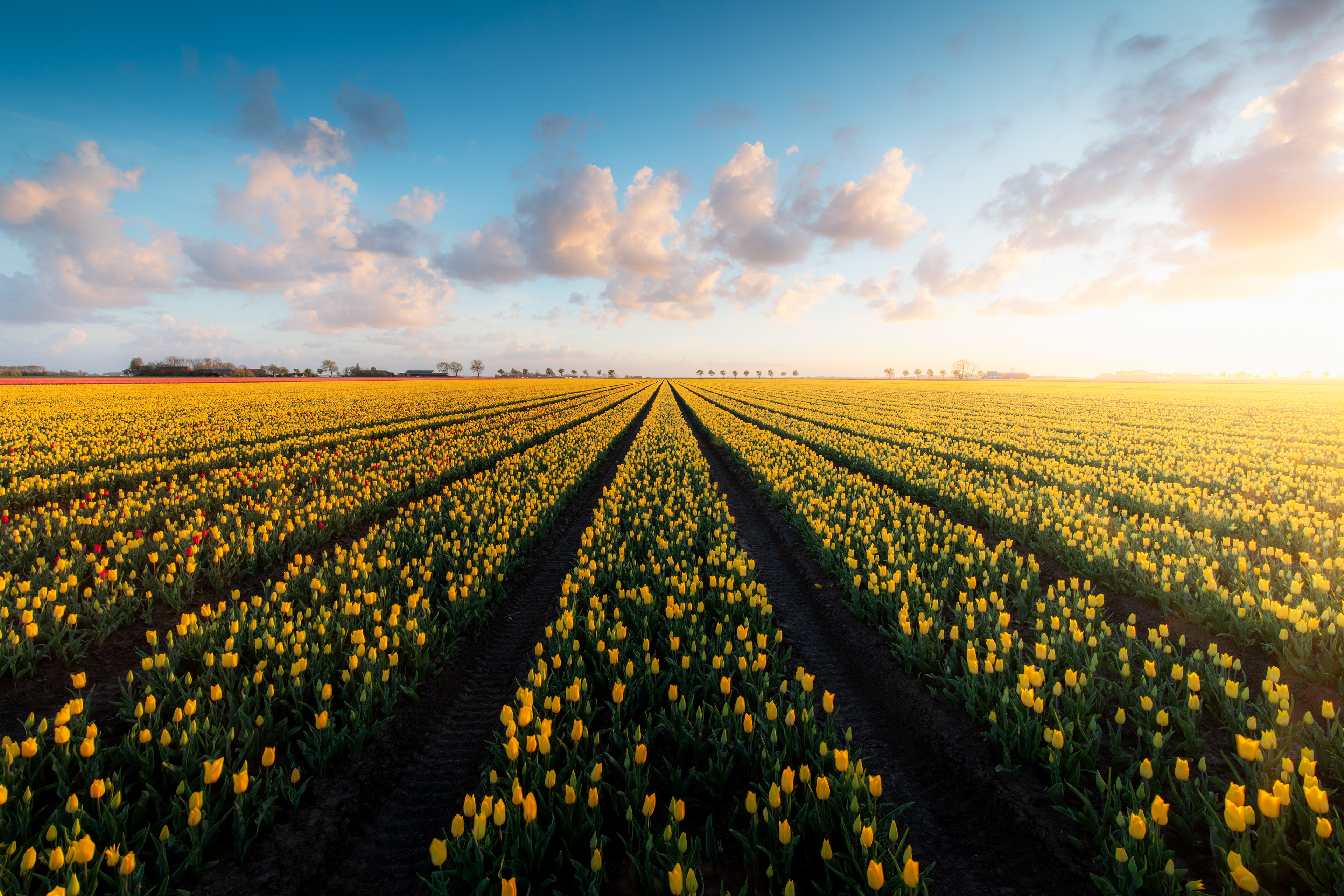 Woldendorp | 16-04-'24