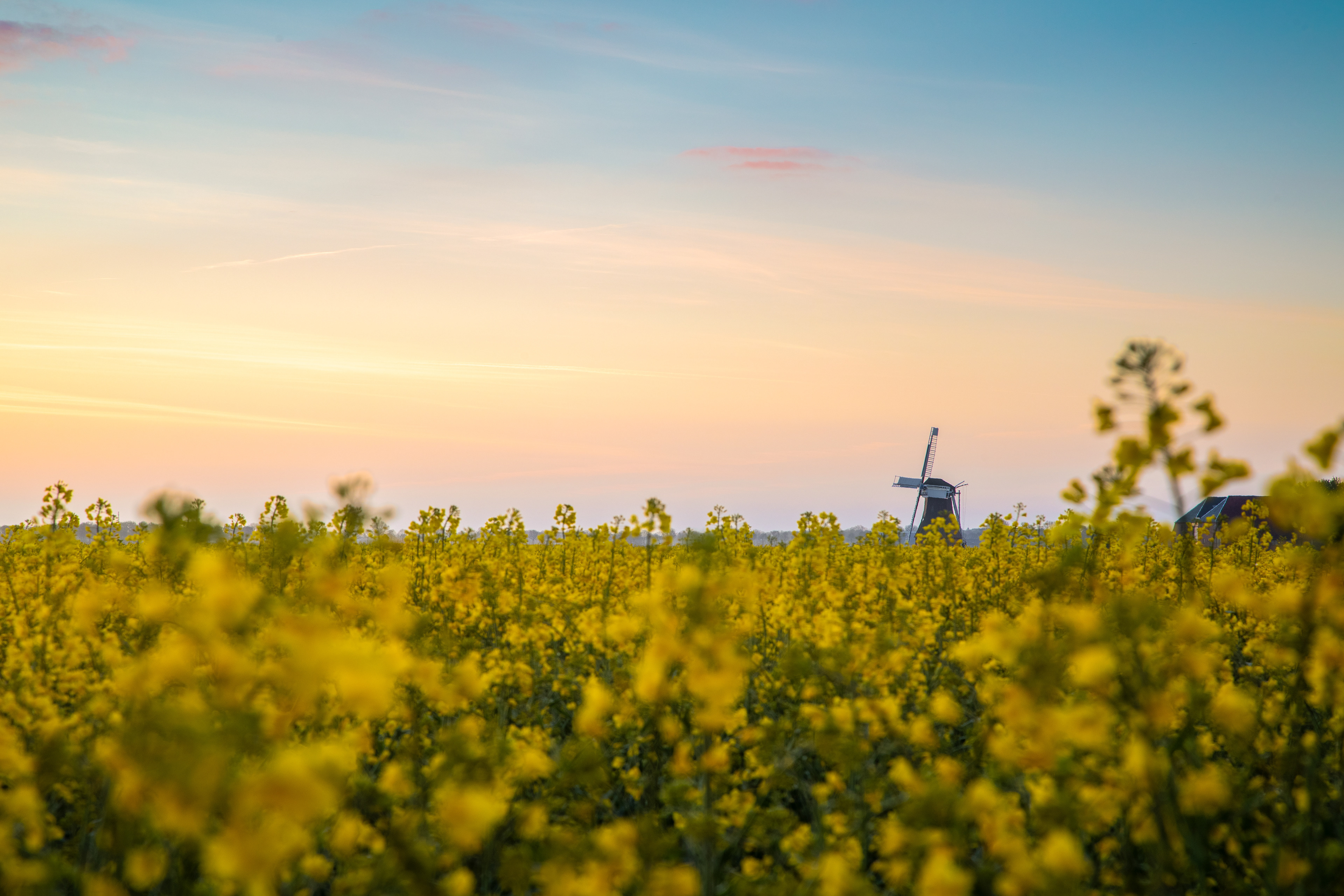Poldermolen De Dellen | 26 april