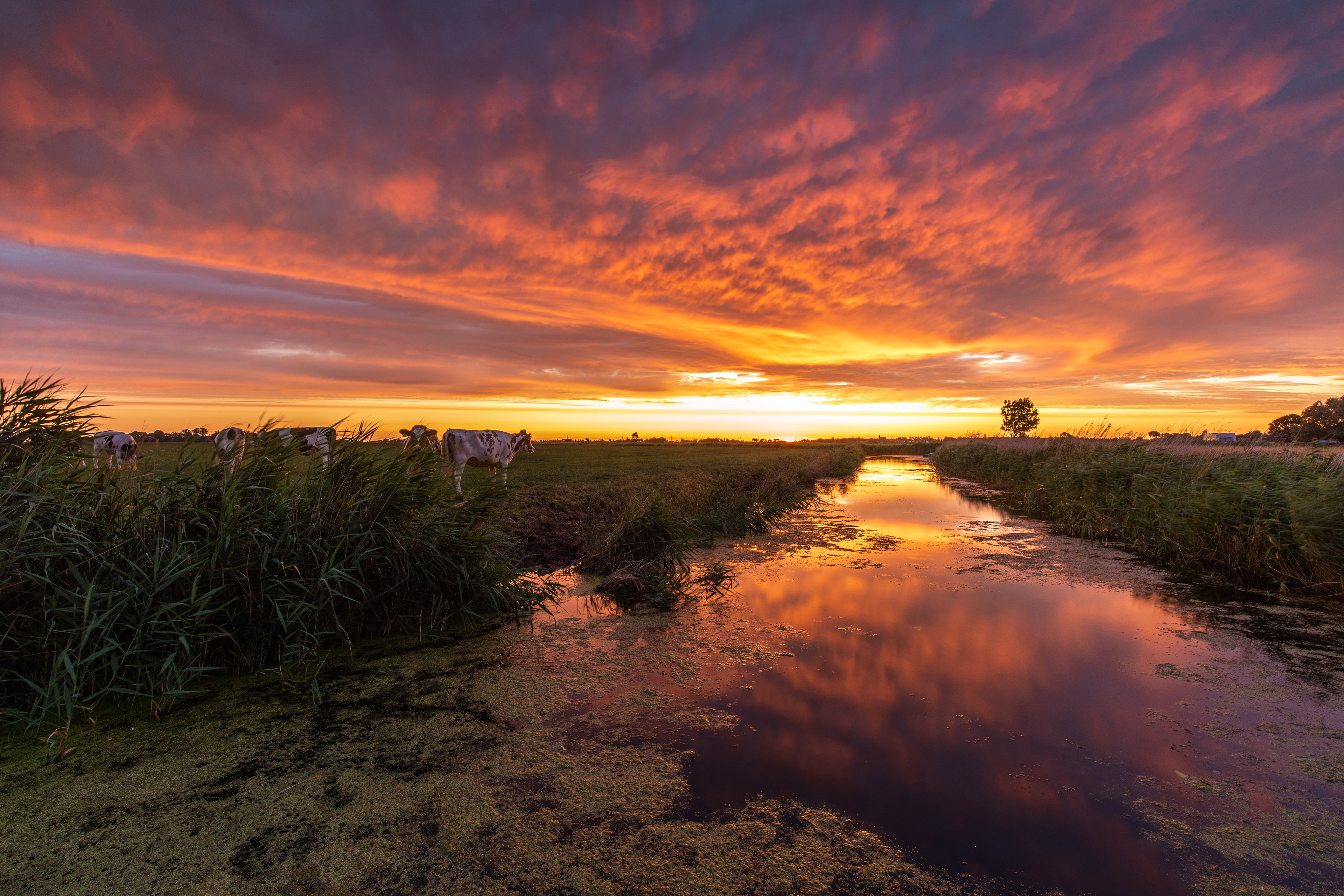 Uitwierde | 16-07-23