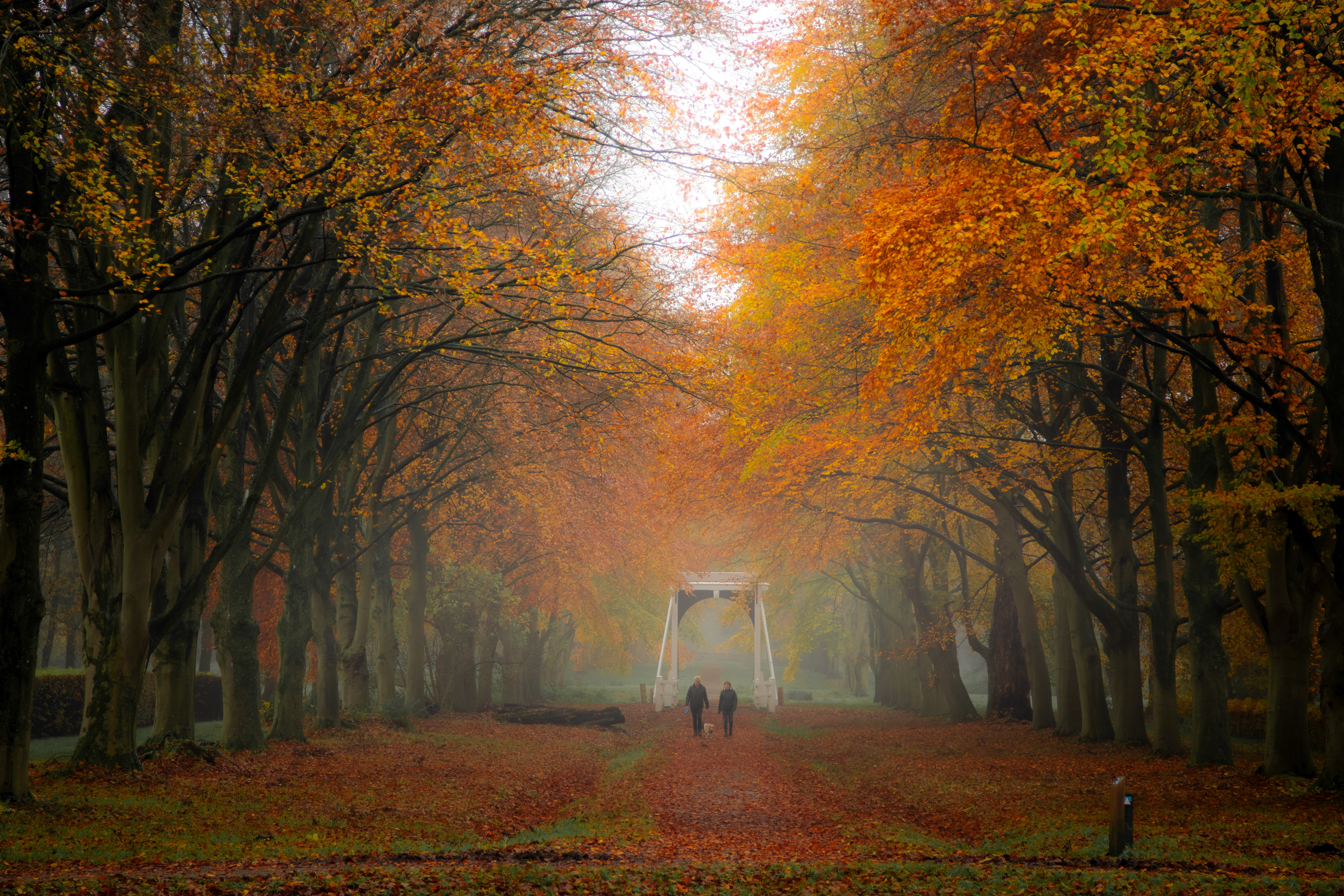 Ennemaborg | 18-11-23