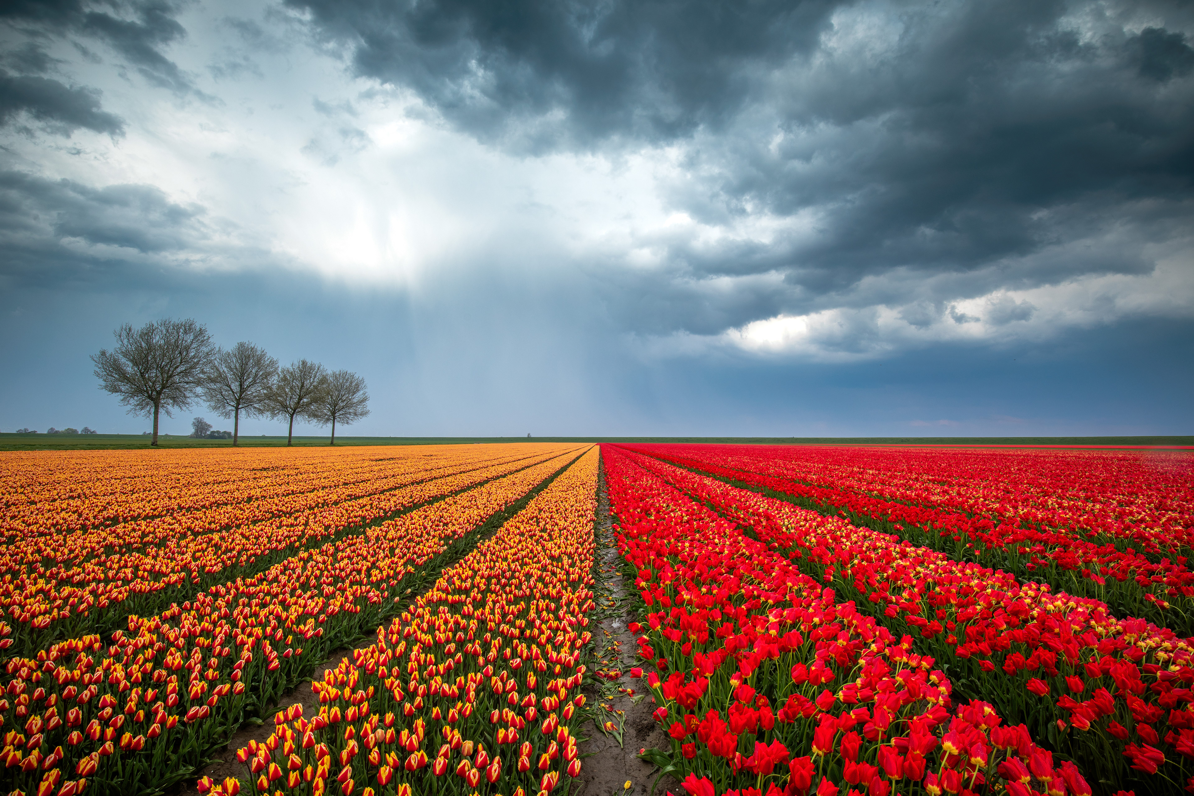 Woldendorp | 22-04-23