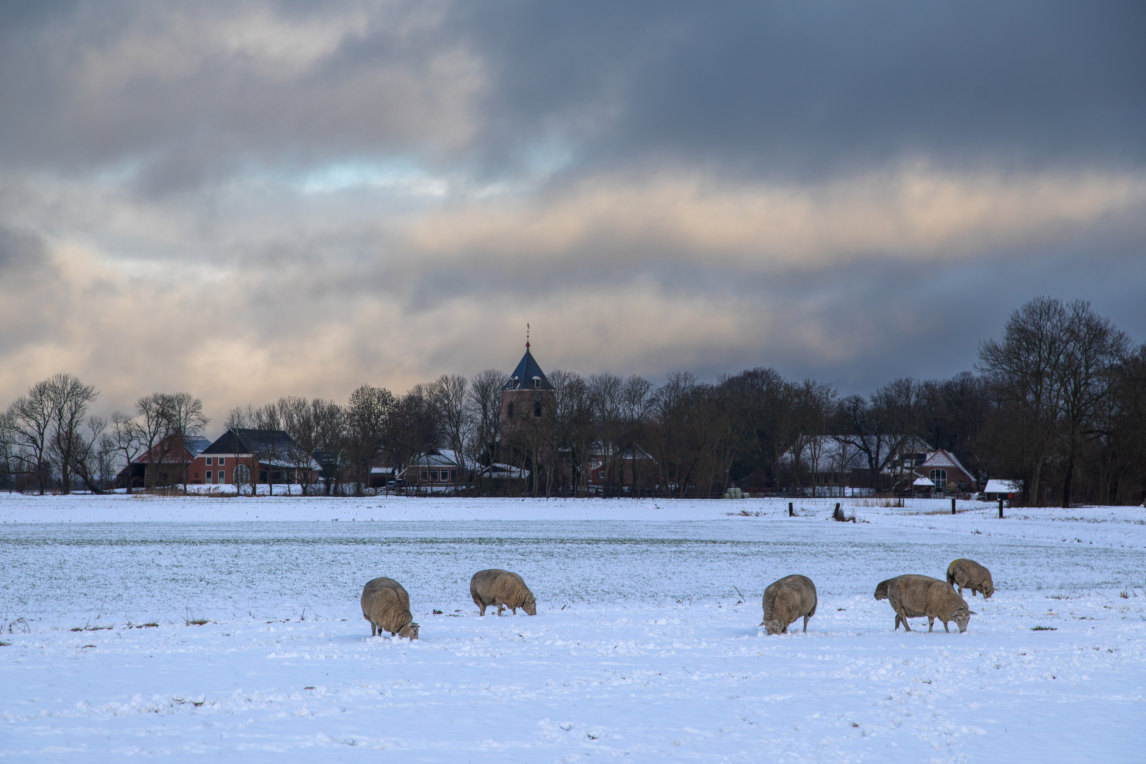 Uitwierde003