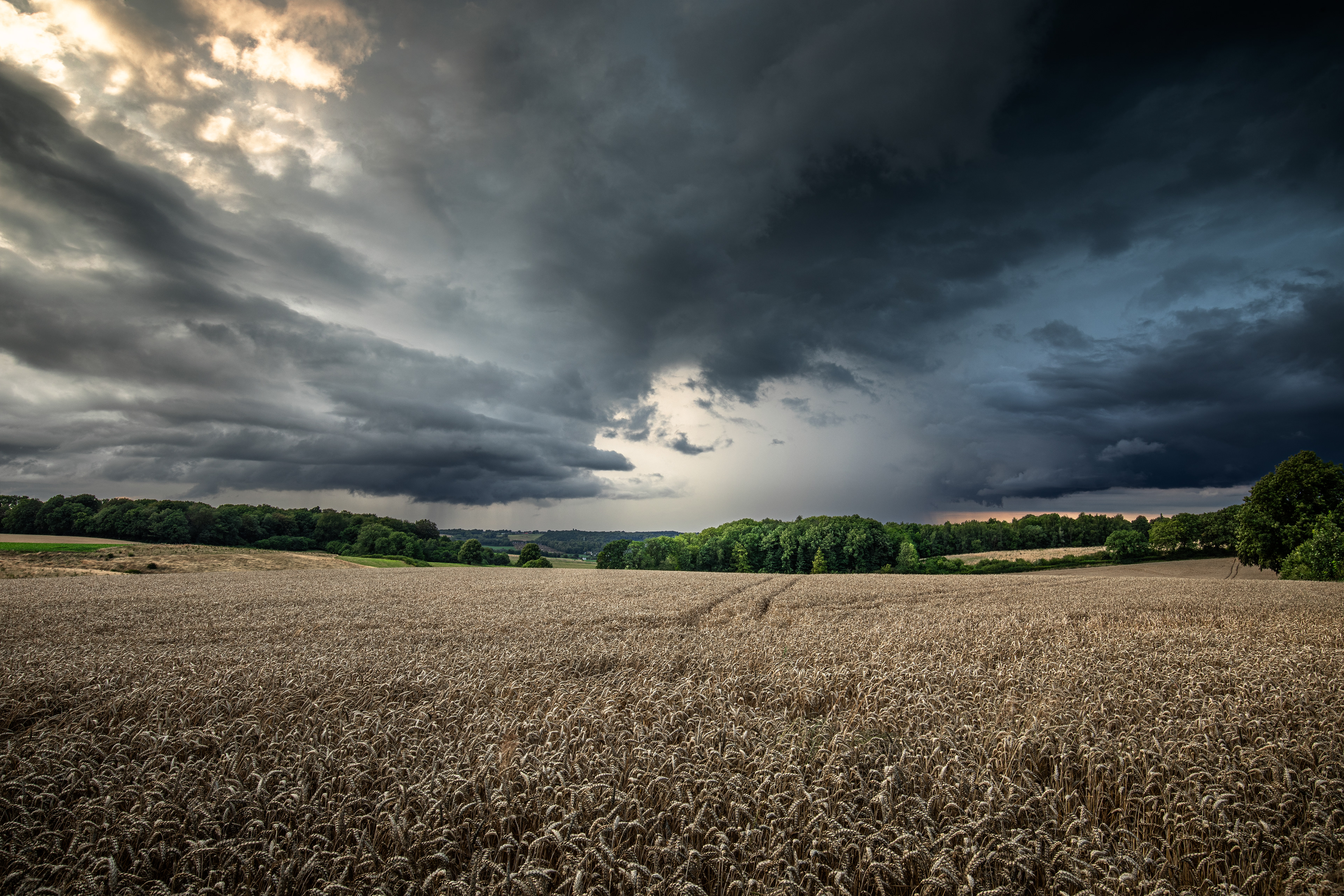 Zuid-Limburg | 29-07-23