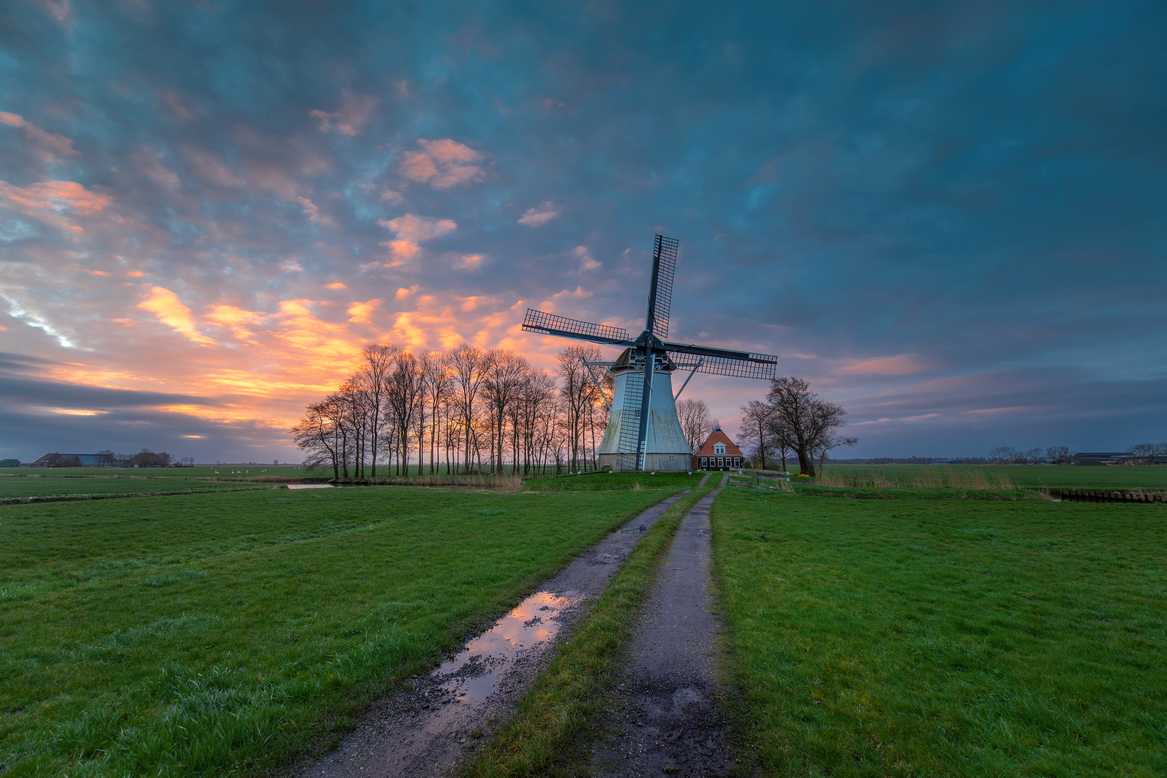 Molen De Olifant Burdaard | 26-03-23