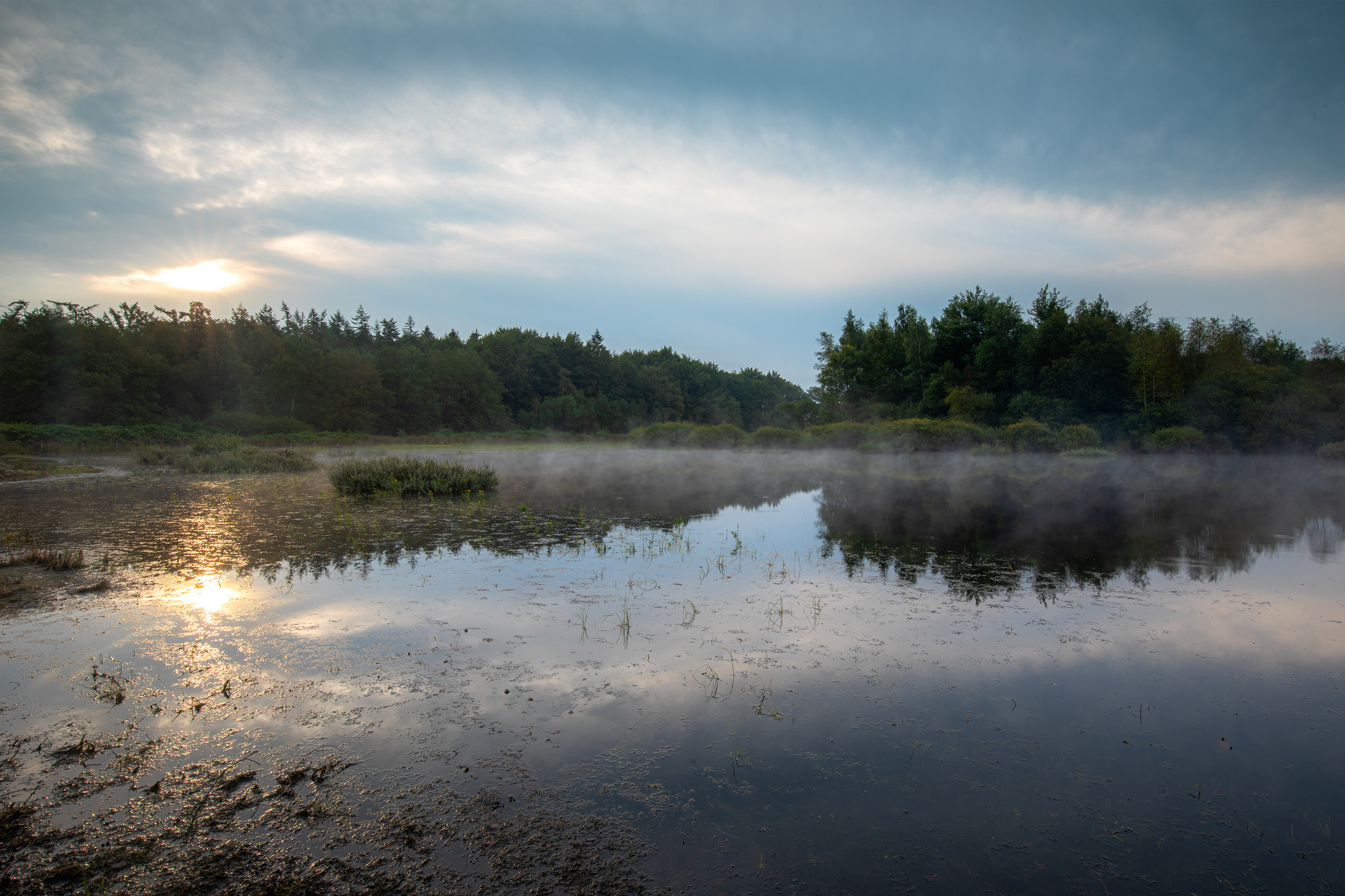 Bakkeveense duinen | 18-08-'24