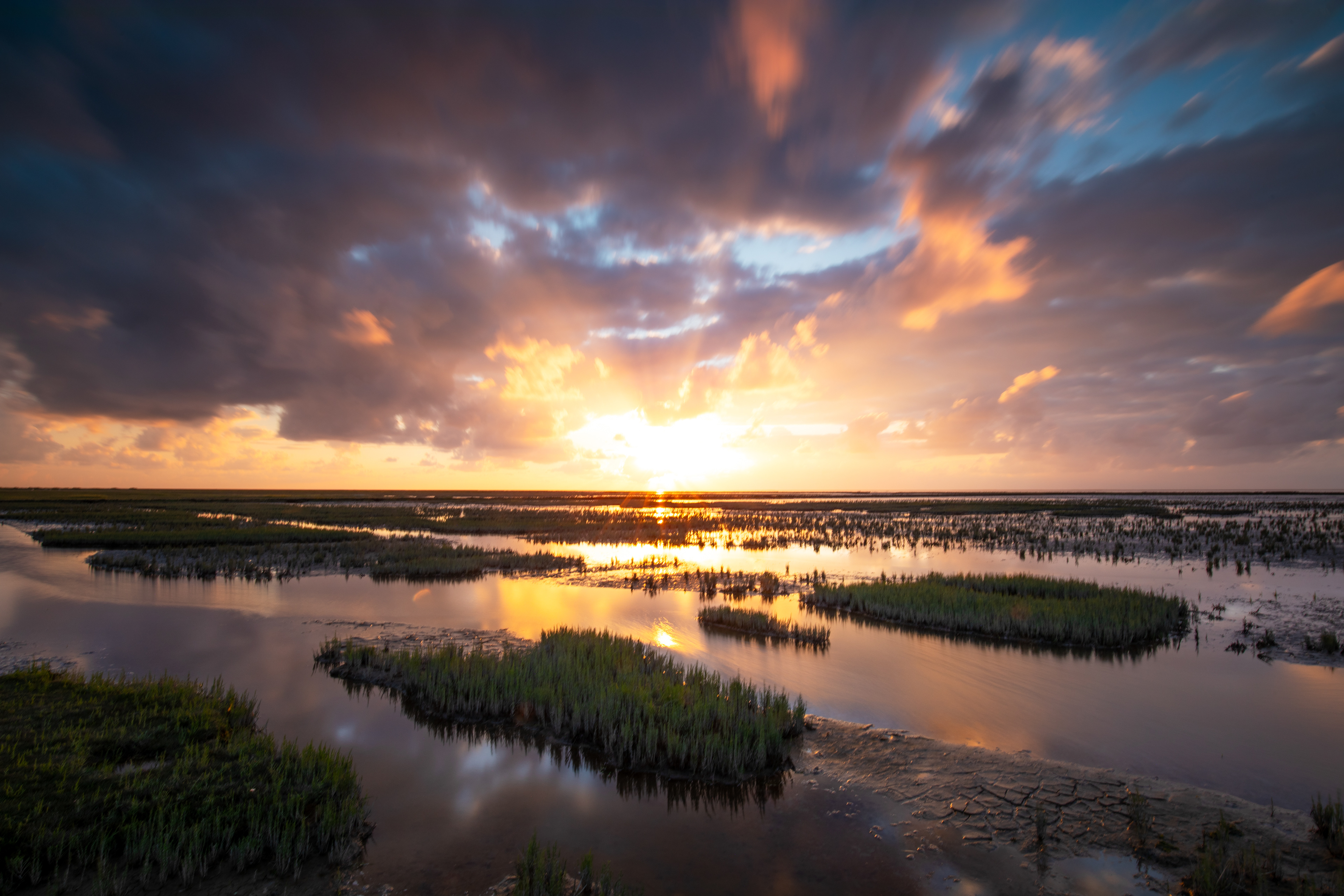 Emmapolder | 29-07-'25