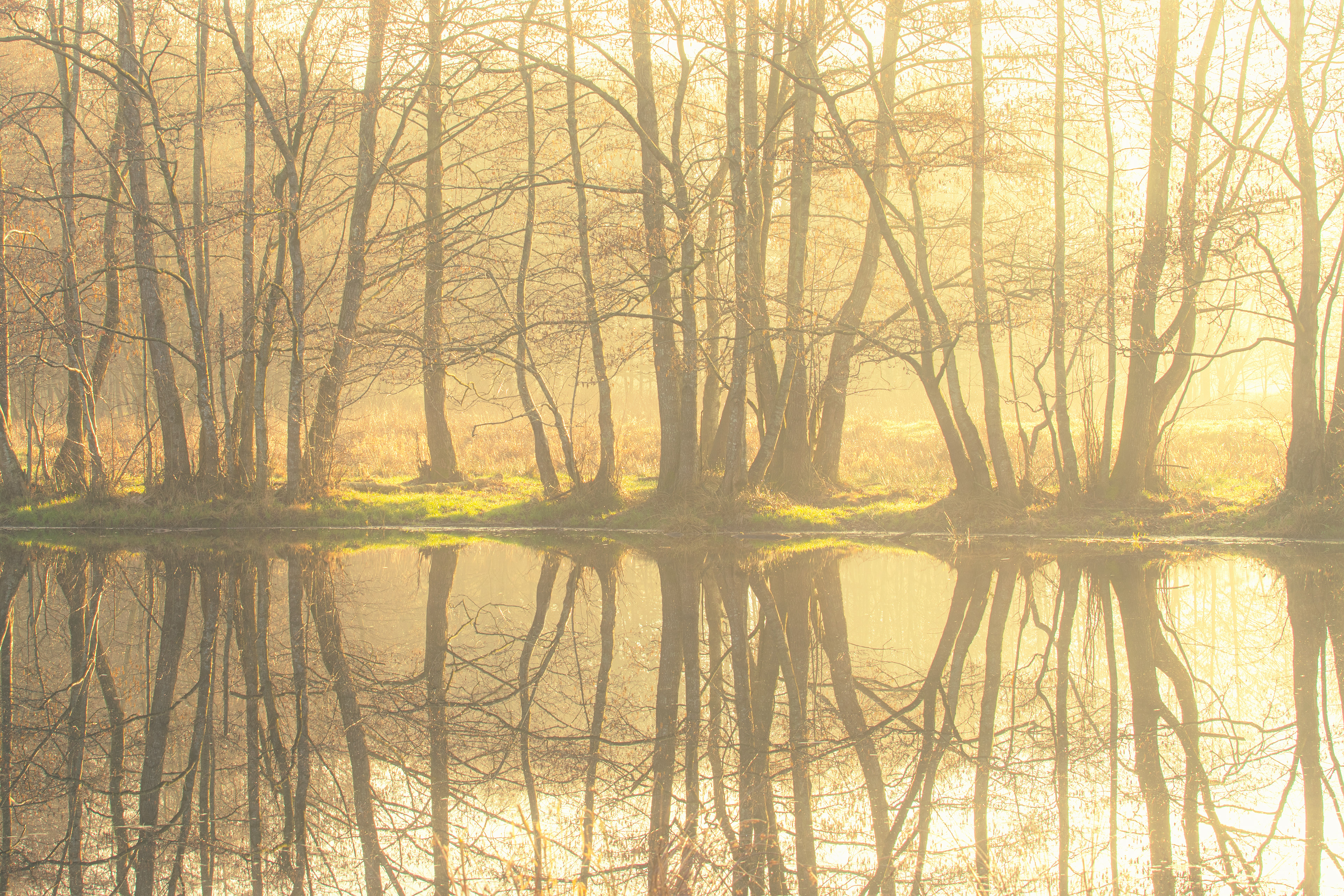 Smeerling | 28-02-23