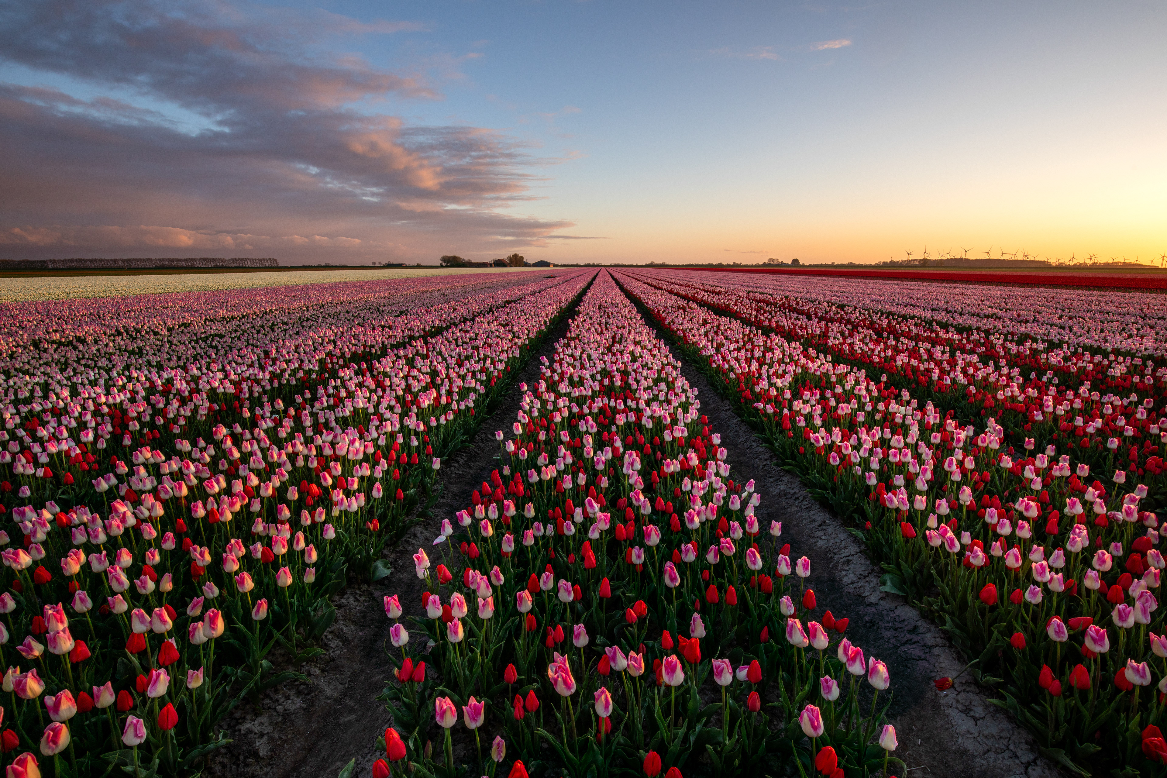 Johannes Kerkhovenpolder006