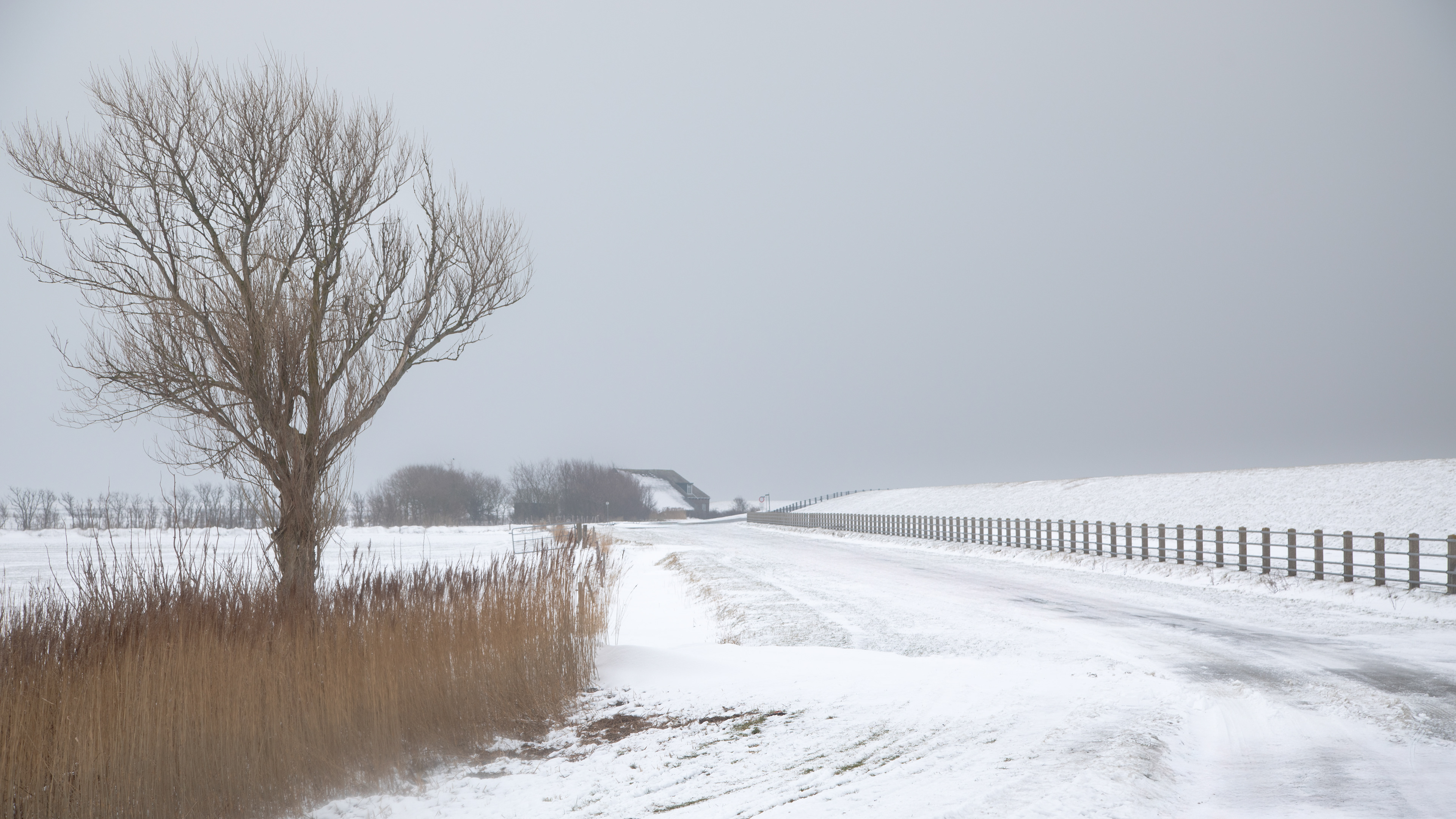 Ameland | 31-01-'26