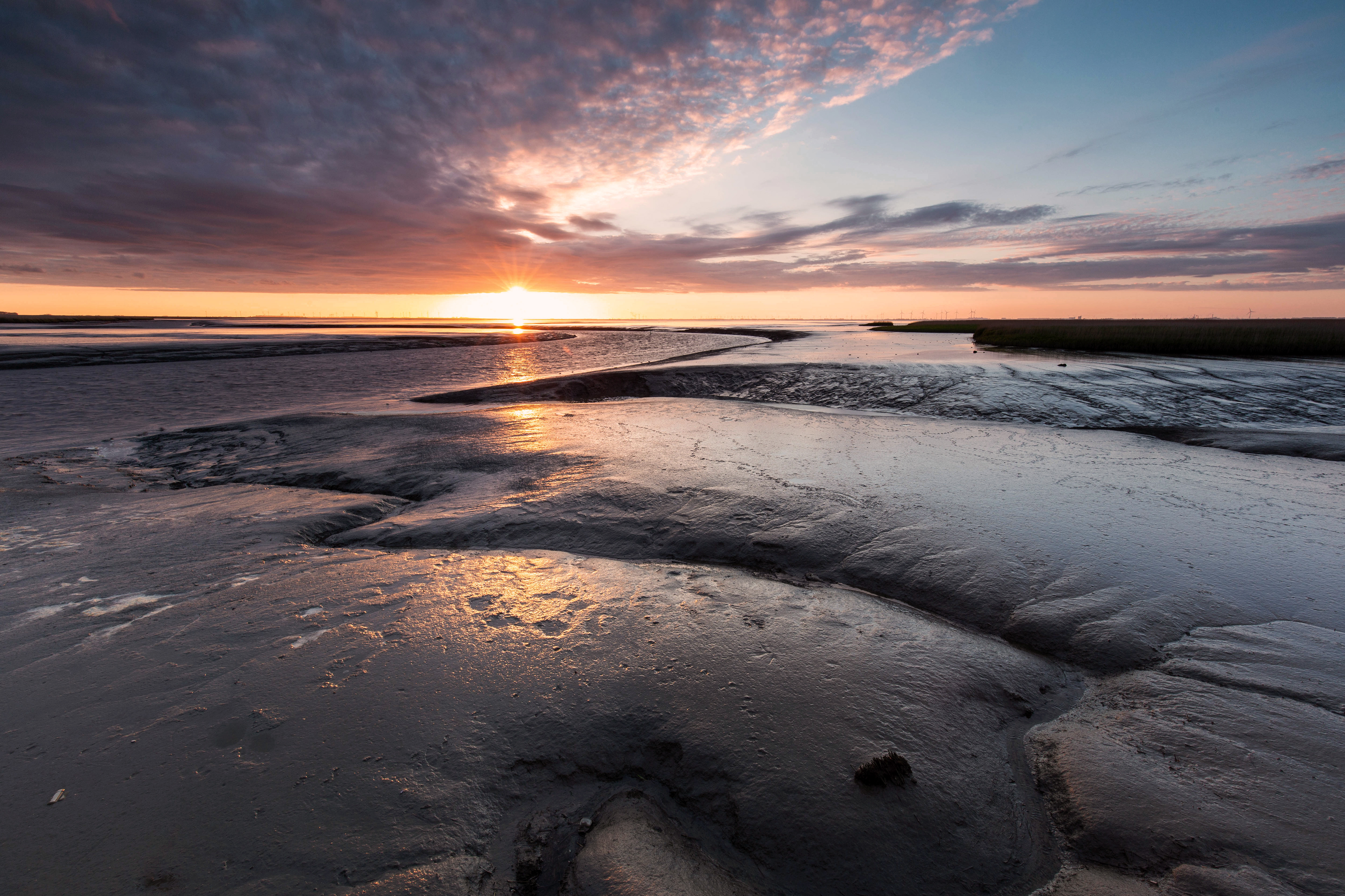 Nieuwe Statenzijl (Waddensea)