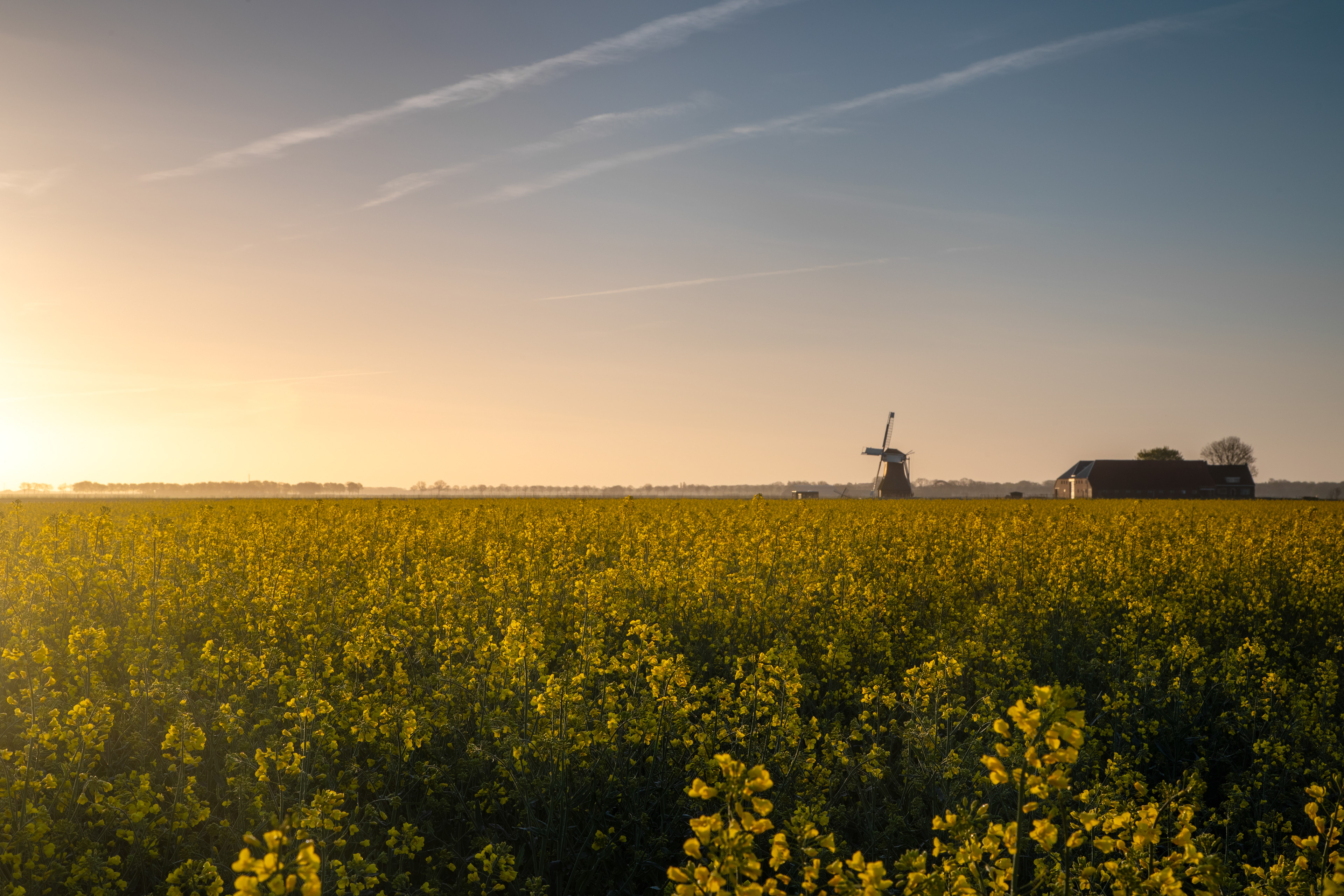 Poldermolen De Dellen | 26 april