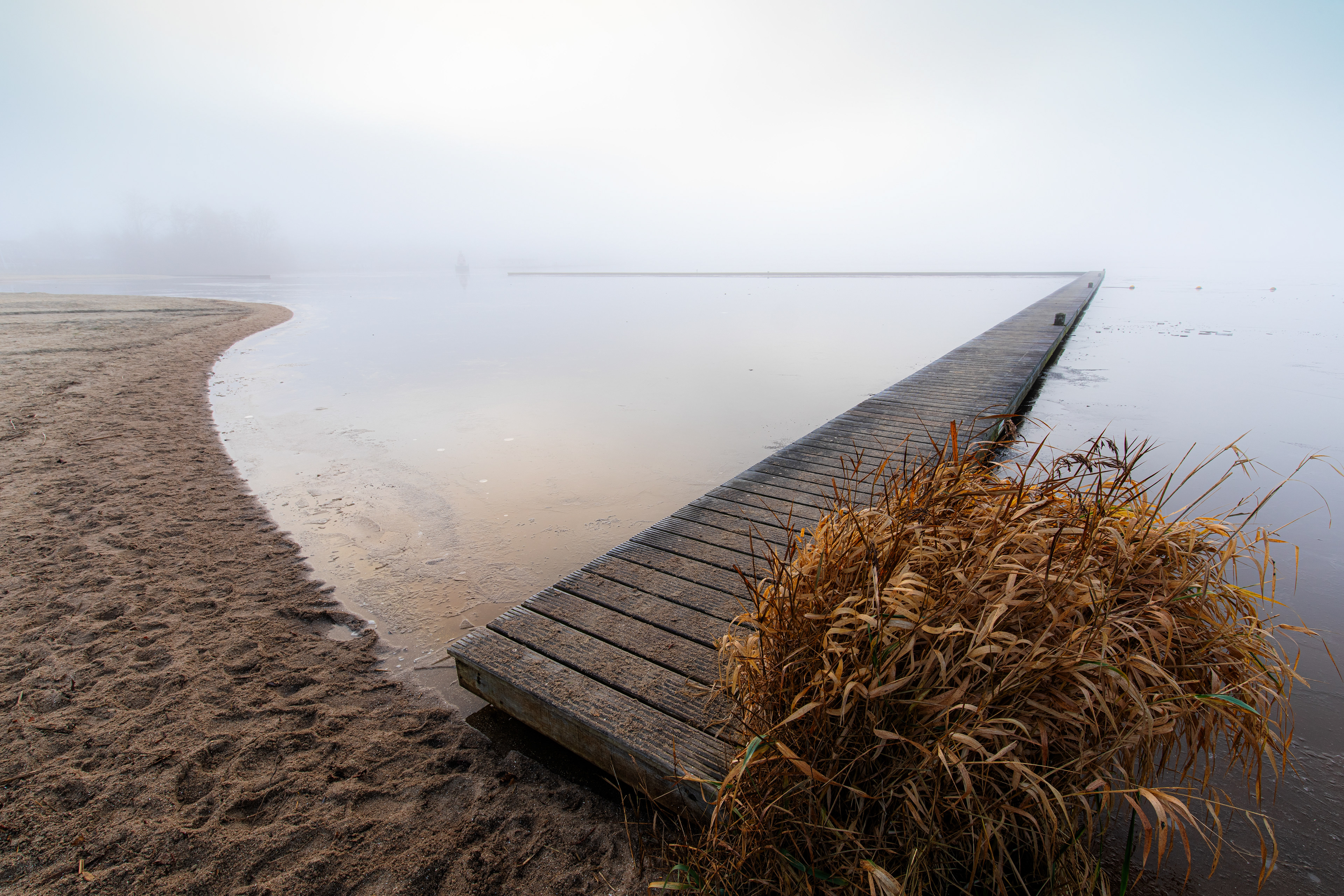Schildmeer | 28-12-'25