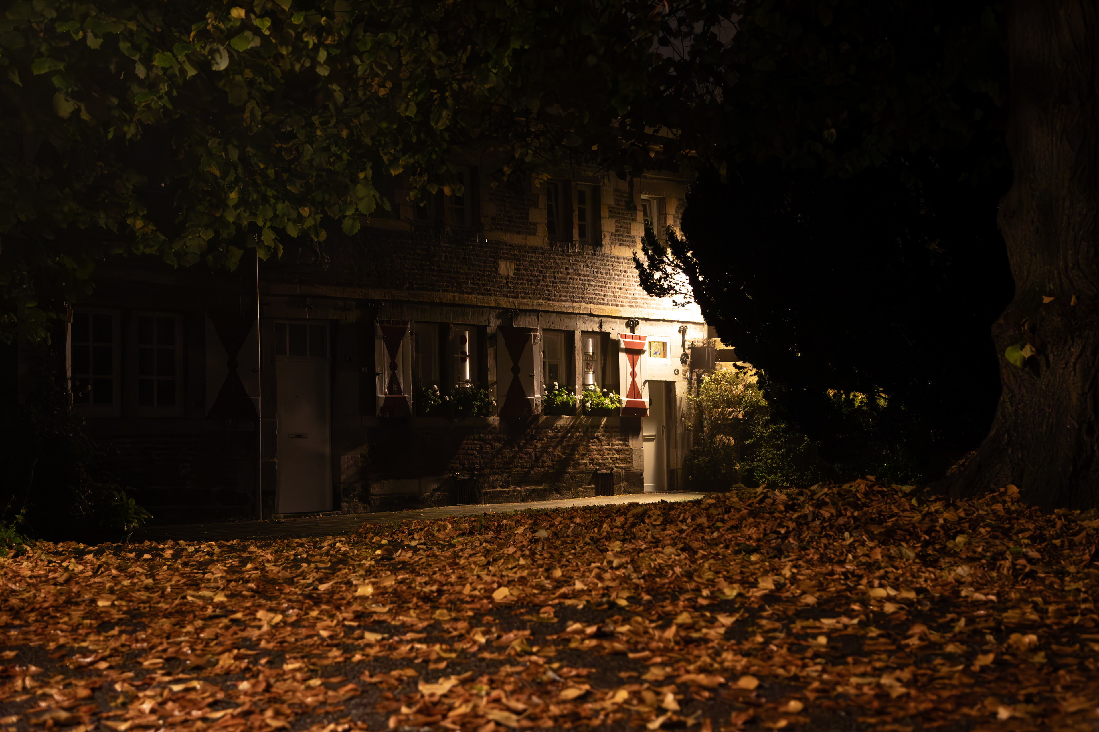 Maastricht | 18-10-'24