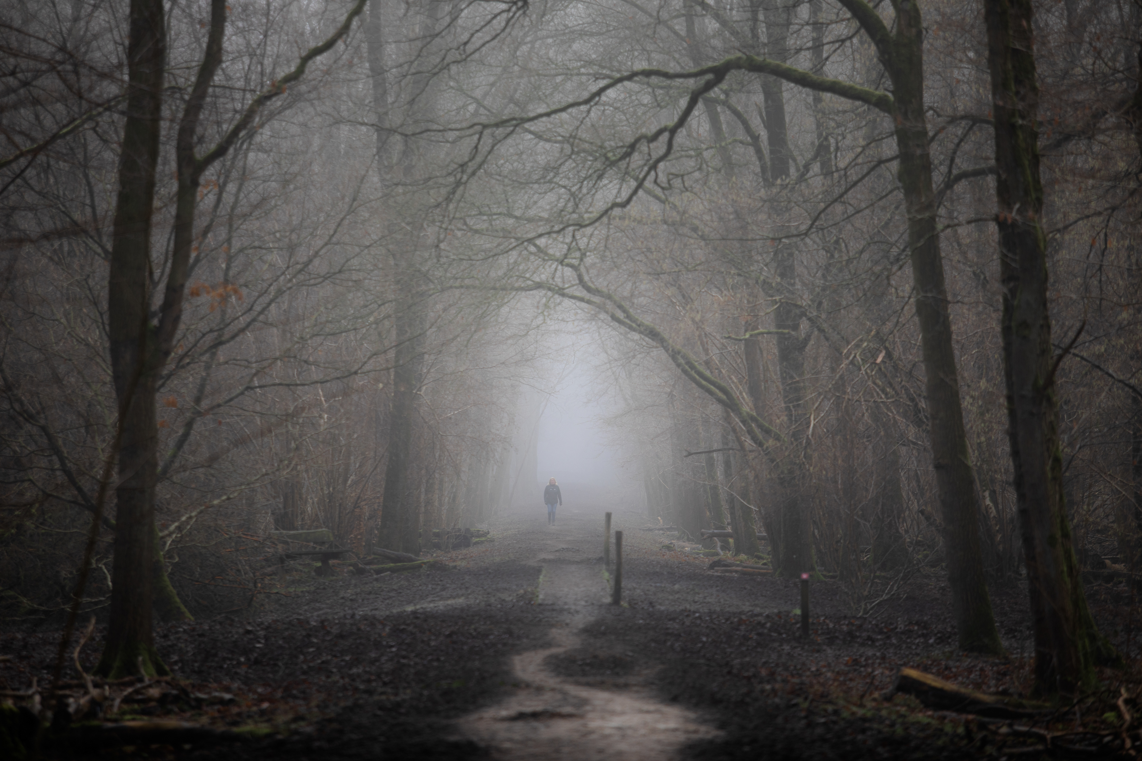 Ennemaborg | 18-01-'25 