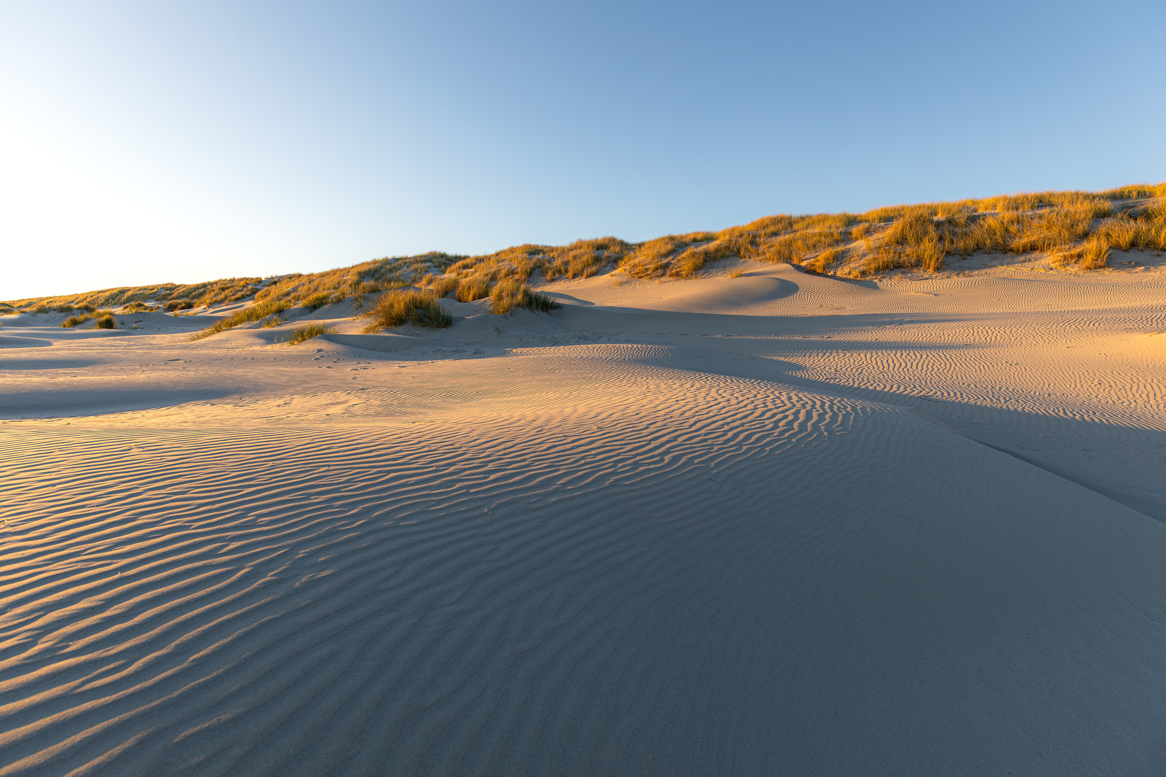 Ameland | 30 april/ 1 mei