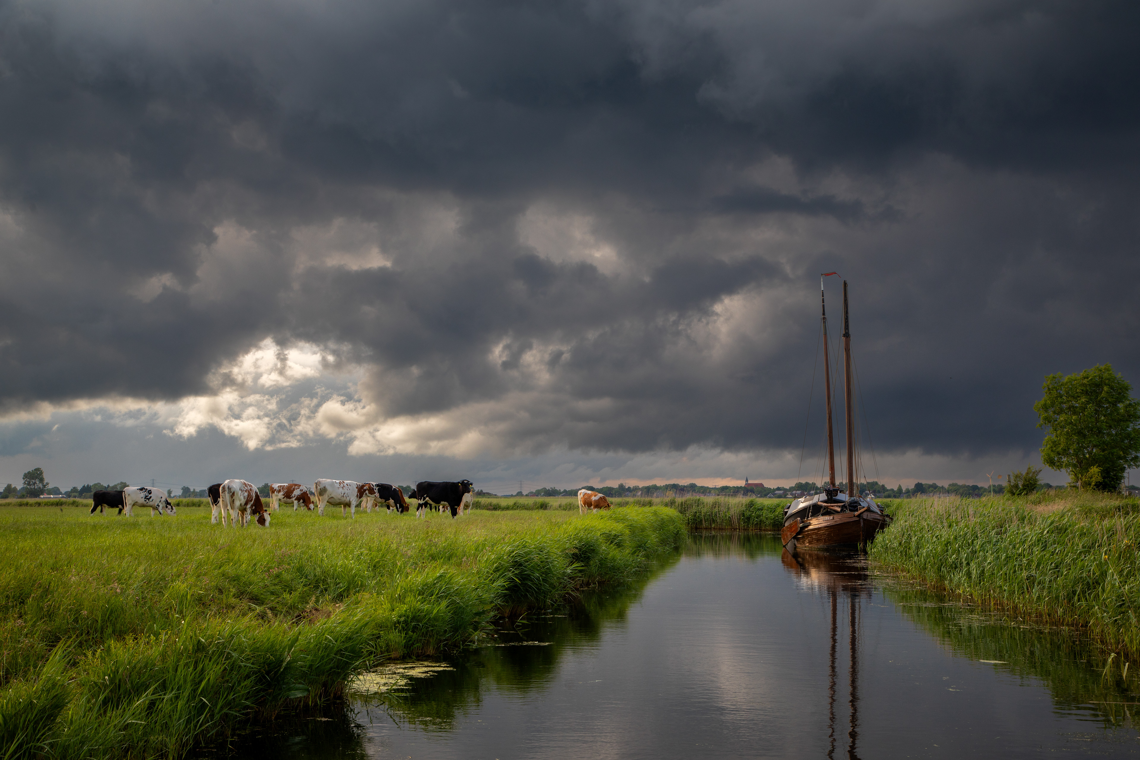 Uitwierde | 07-06-'25