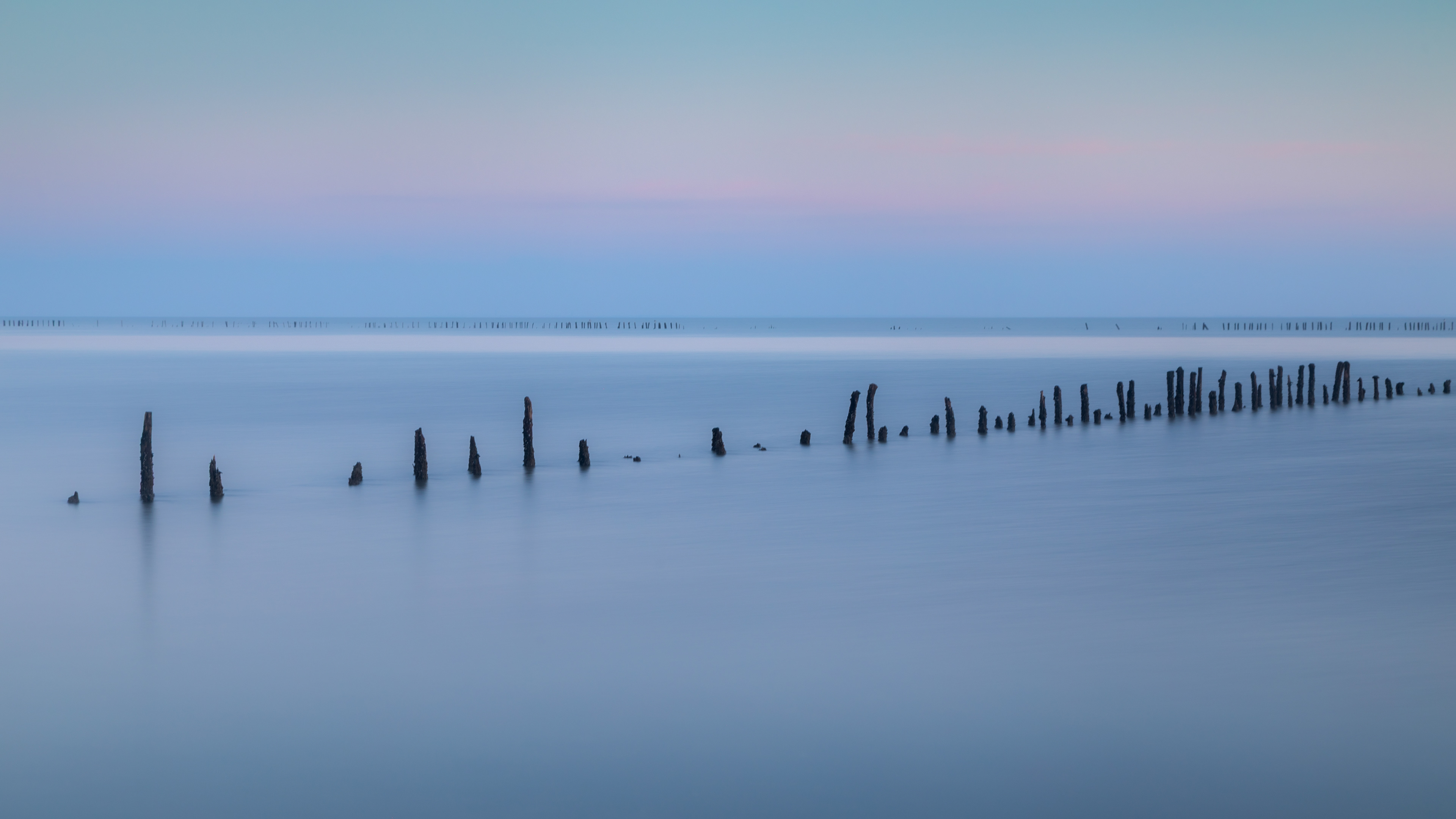 Het Wad | 4 maart
