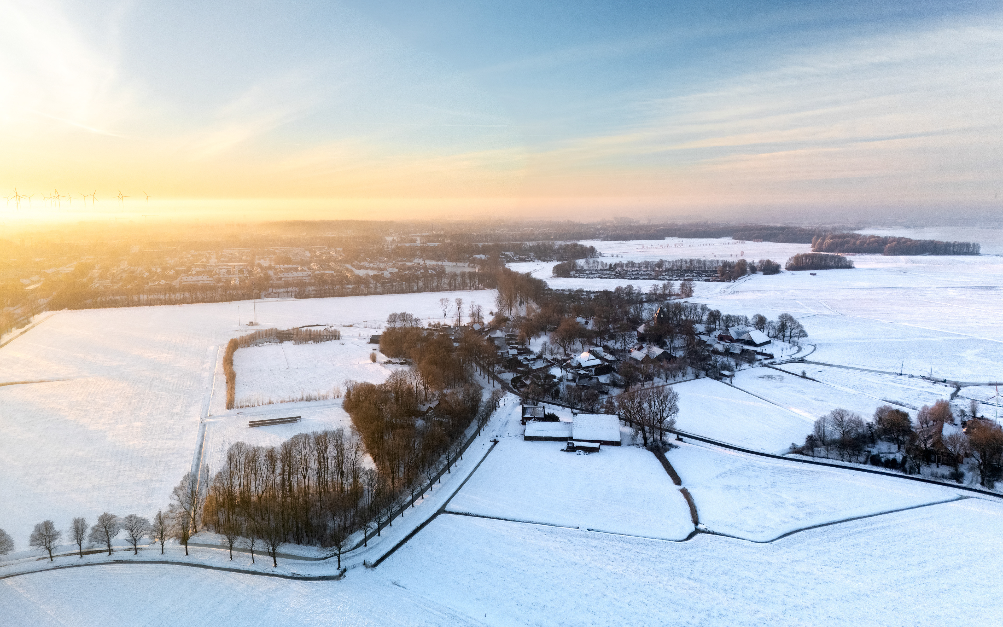 Uitwierde | 11-01-'26