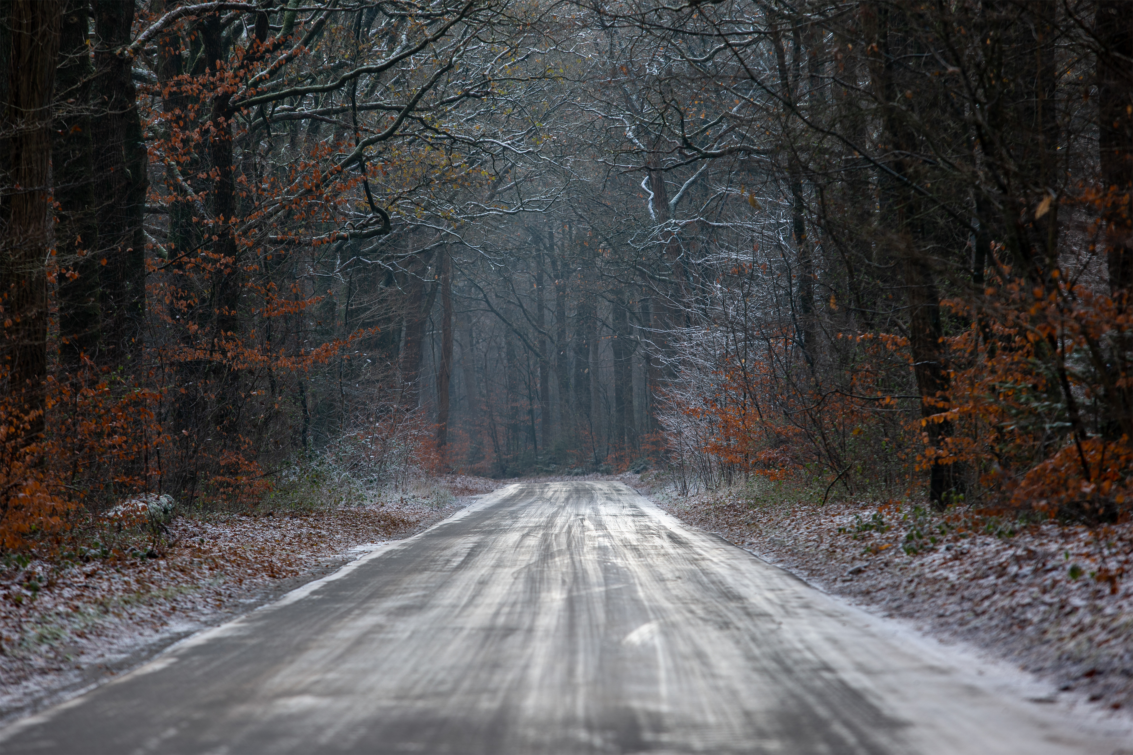 Boswachterij Gieten