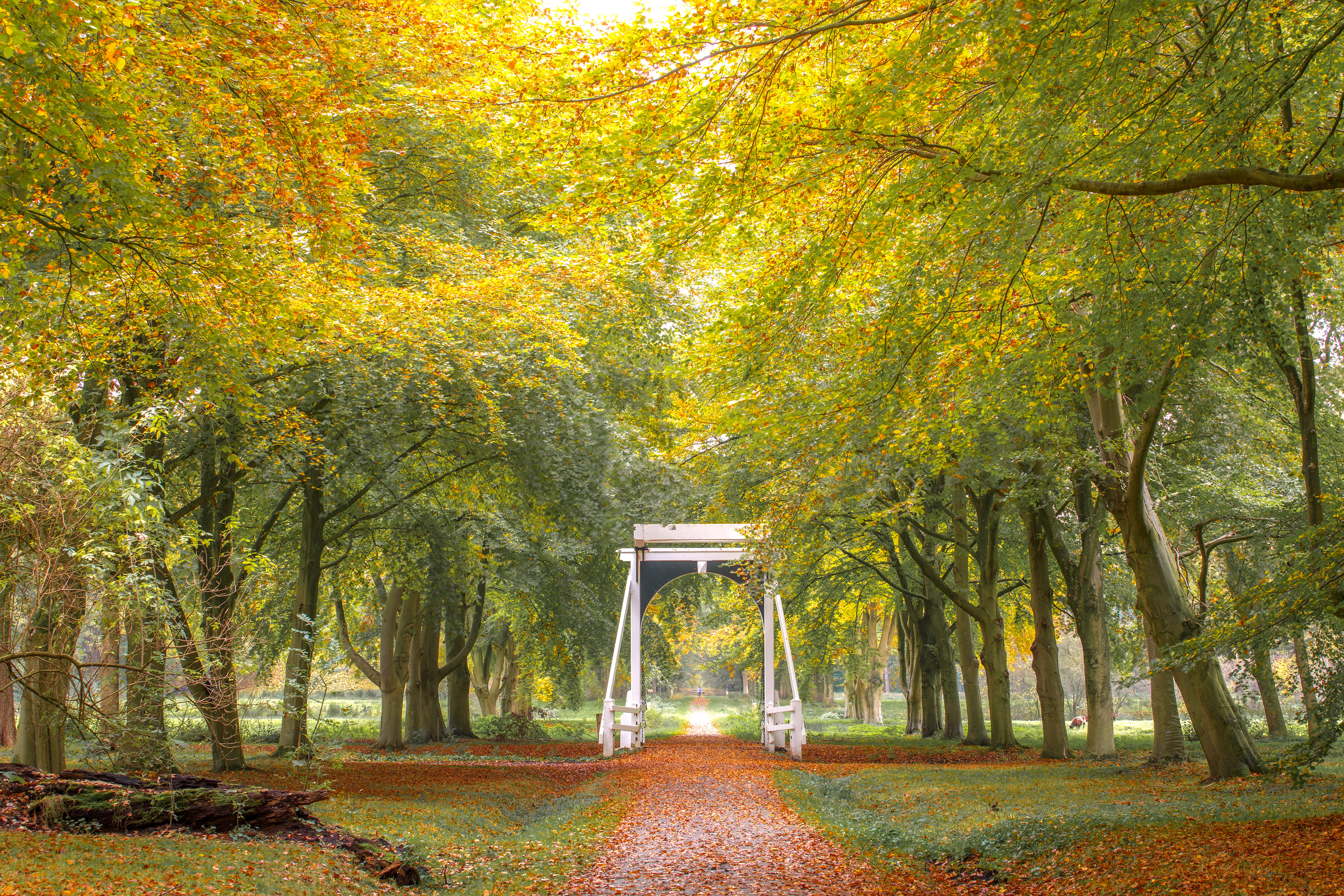 Midwolderbos | 25-10-'24