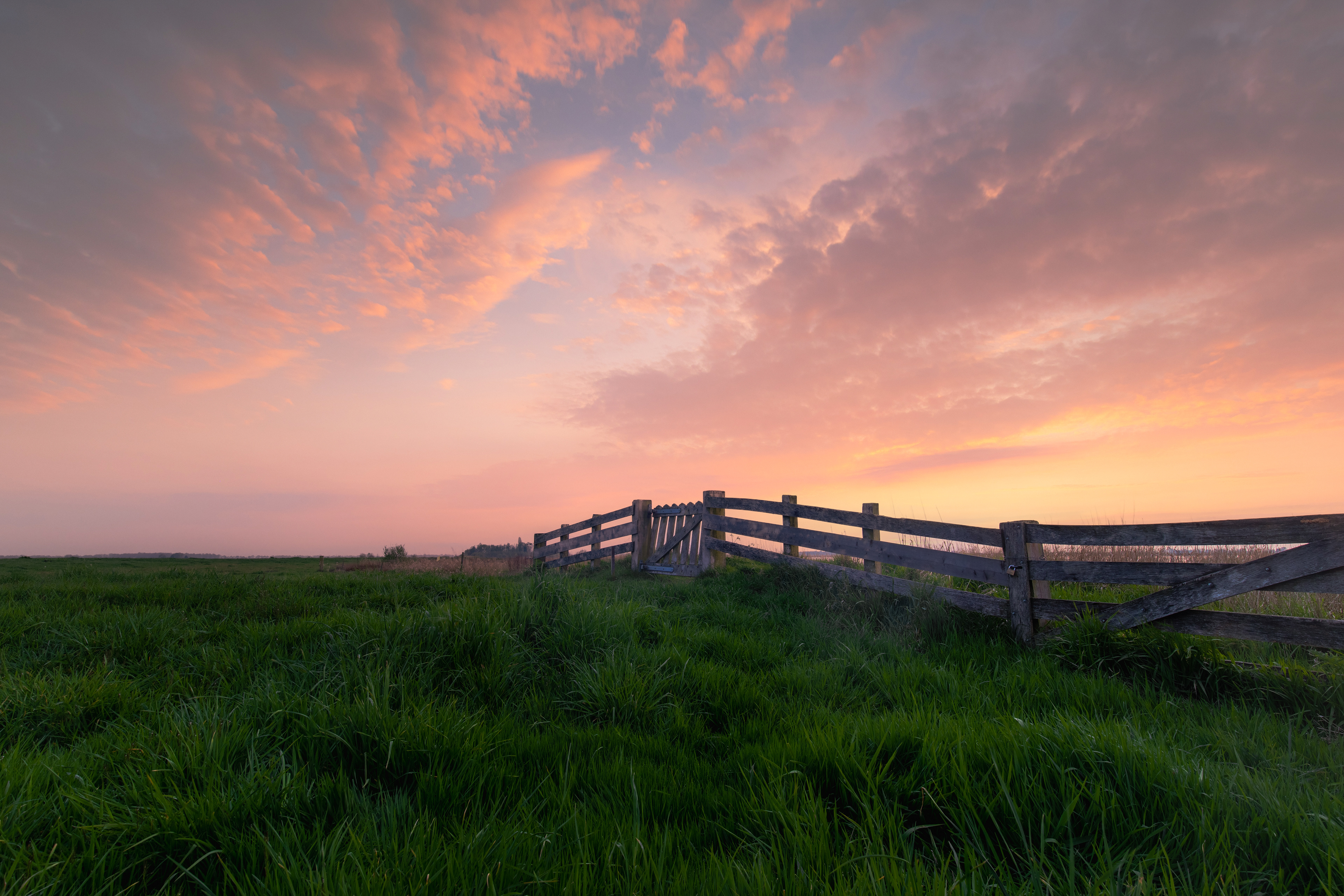't Roegwold | 01-05-23