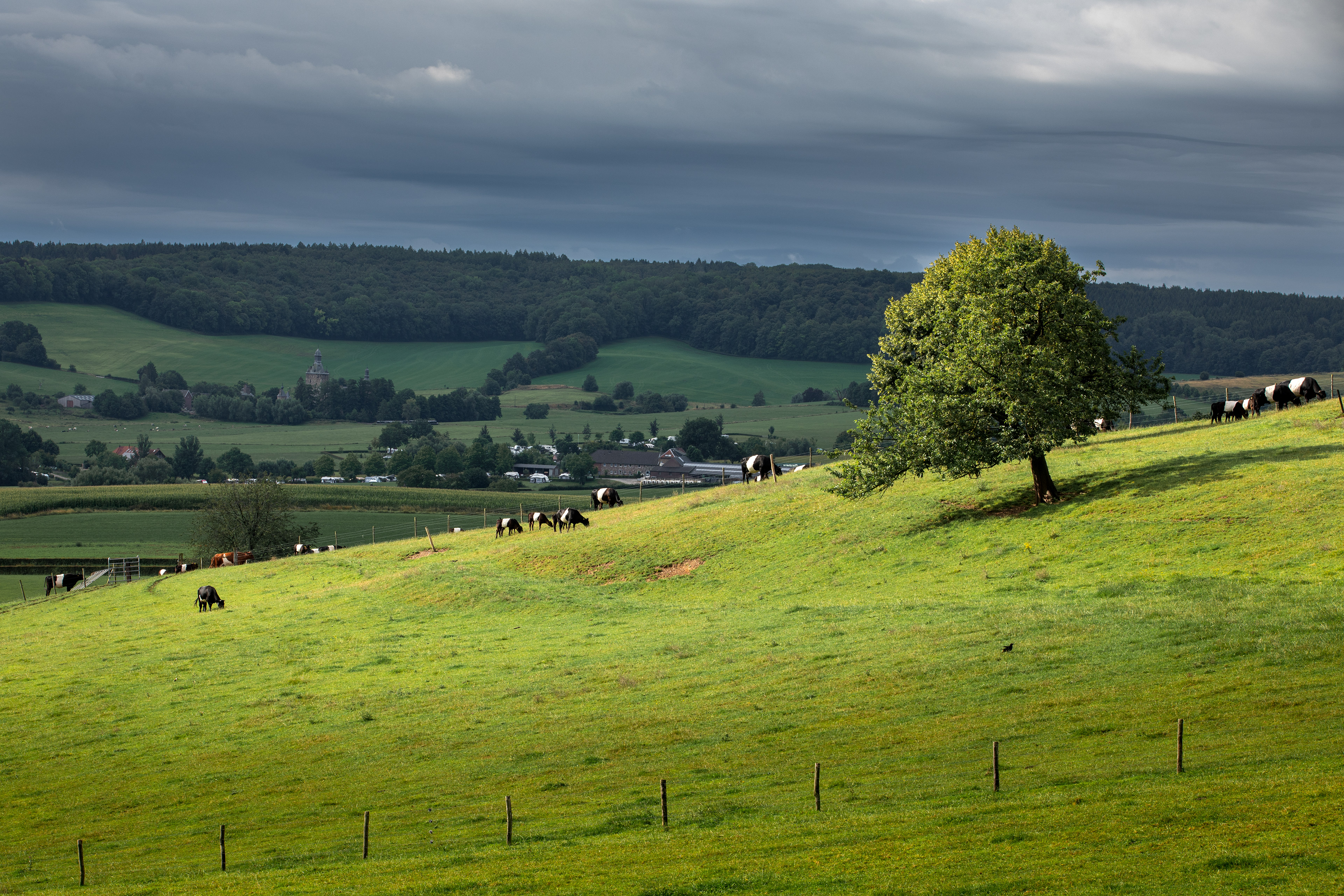 Zuid-Limburg | 29-07-23