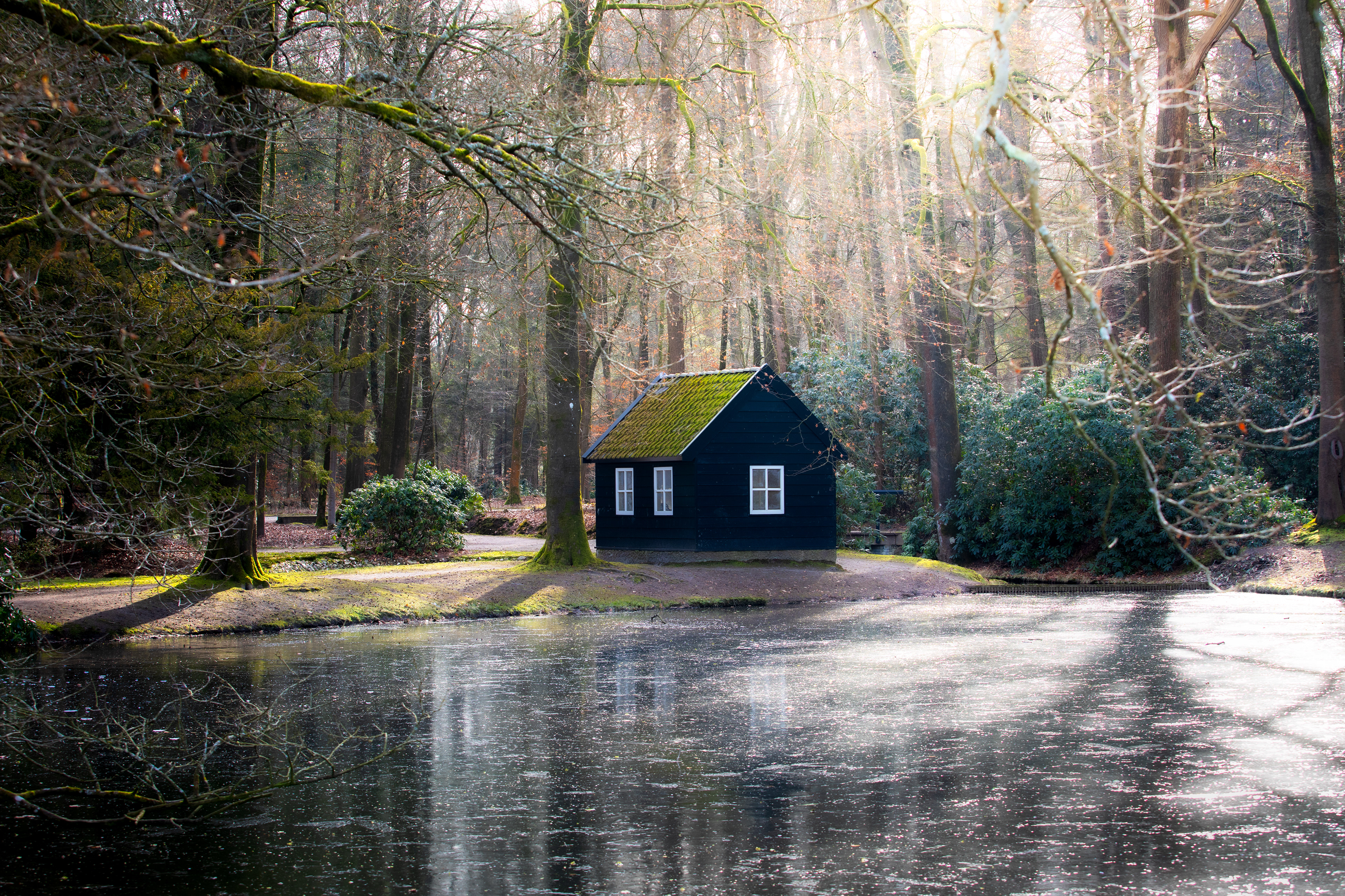 Paleispark 't Loo | 19-02-'25 