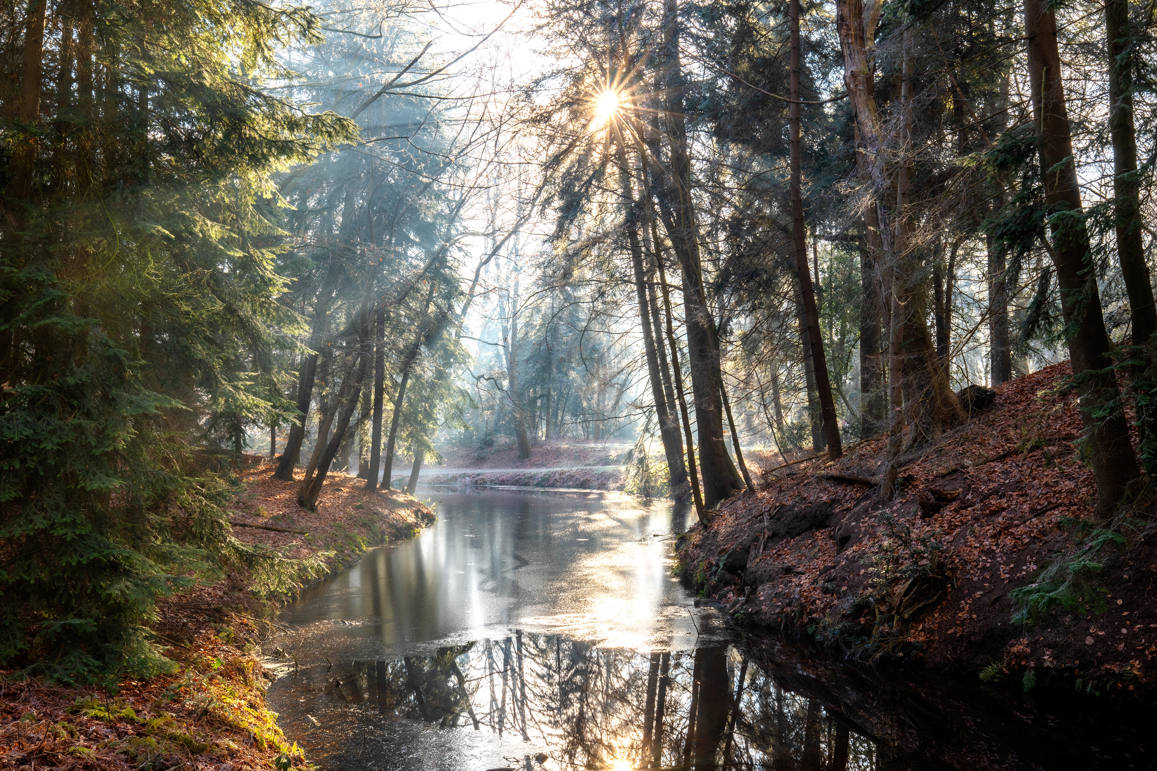 Fraeylemaborg | 02-02-'25