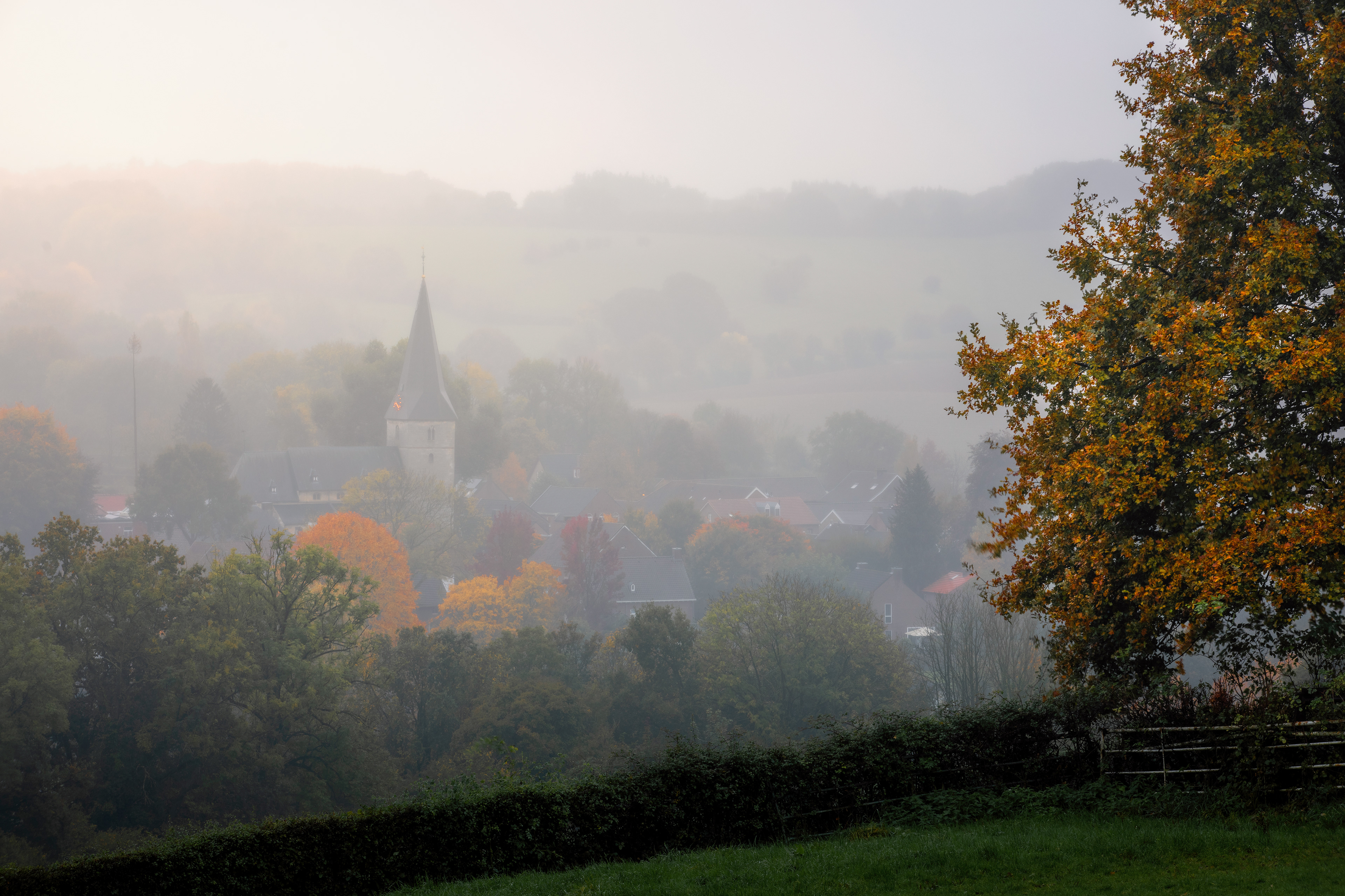 Noorbeek | 19-10-'24