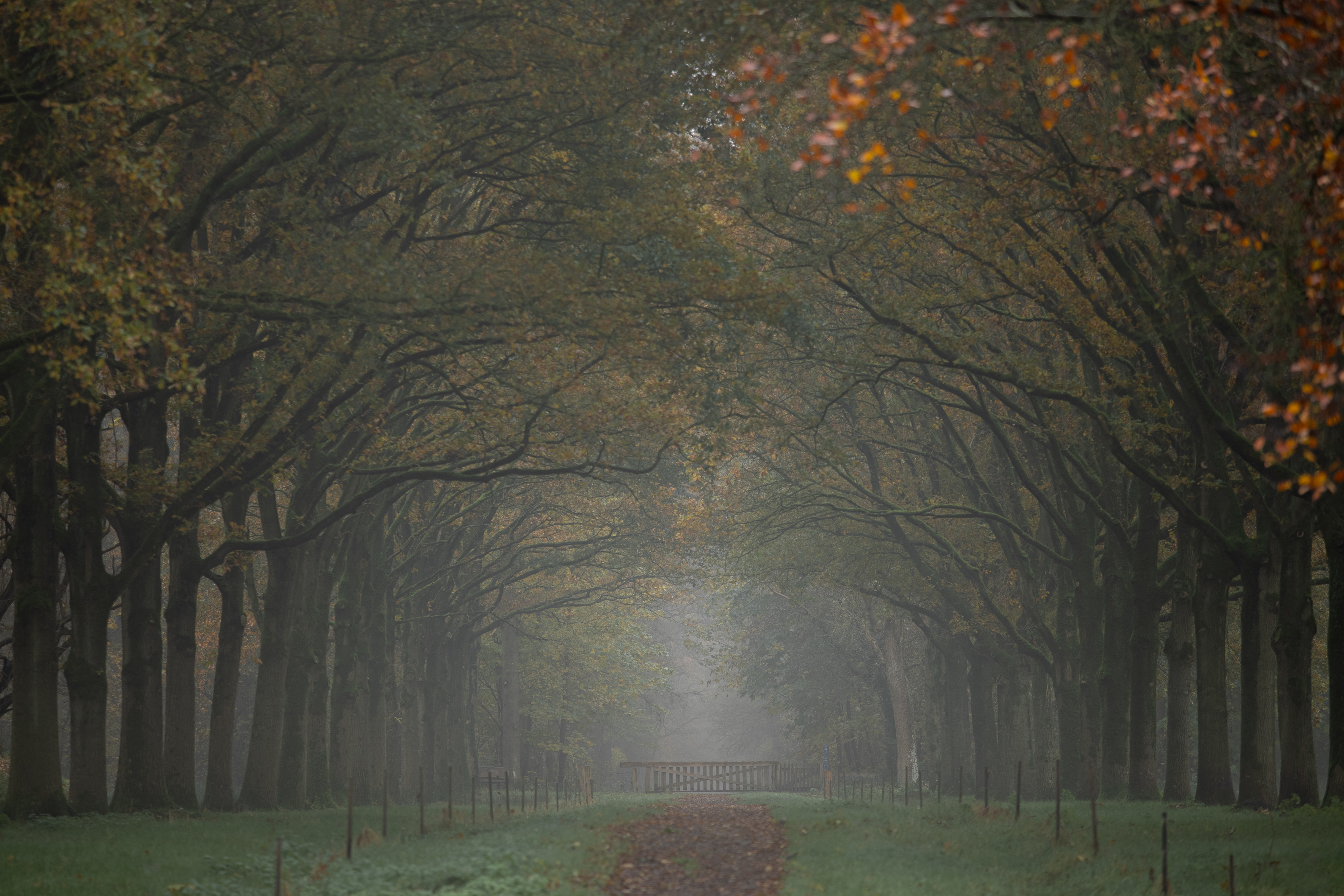 Ennemaborg | 18-11-23