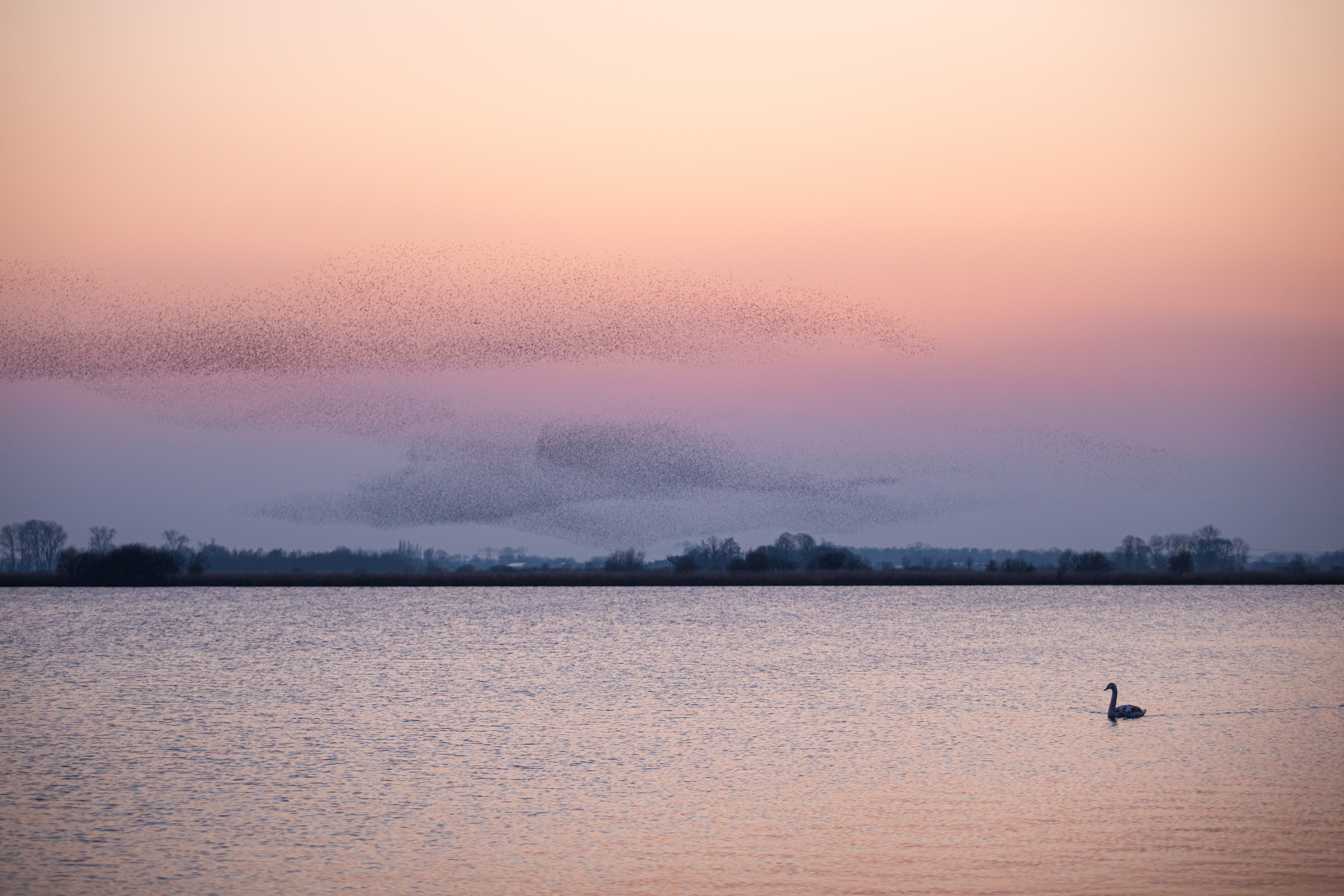 Schildmeer | 08-03-'24