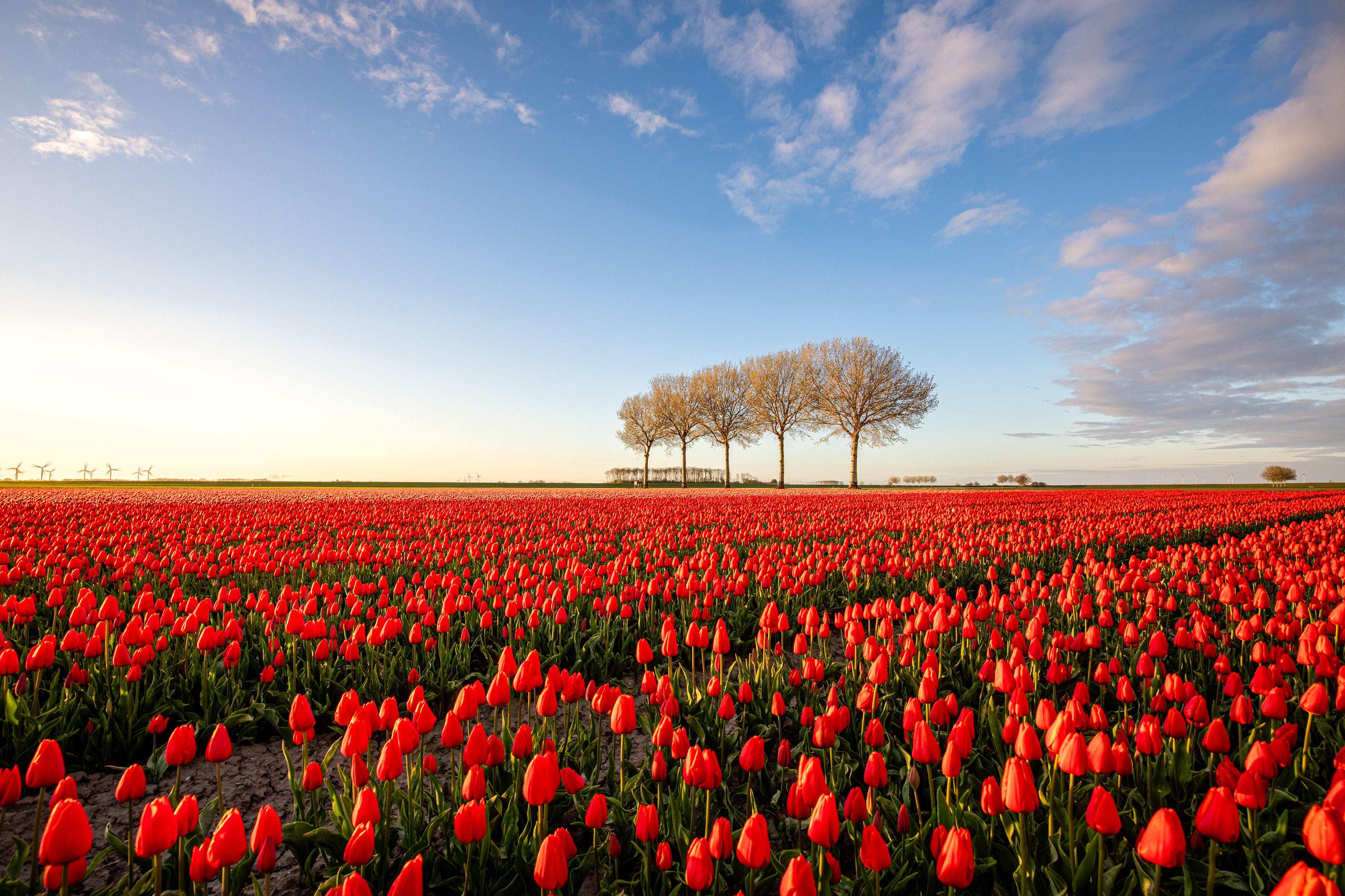 Johannes Kerkhovenpolder | 18 april