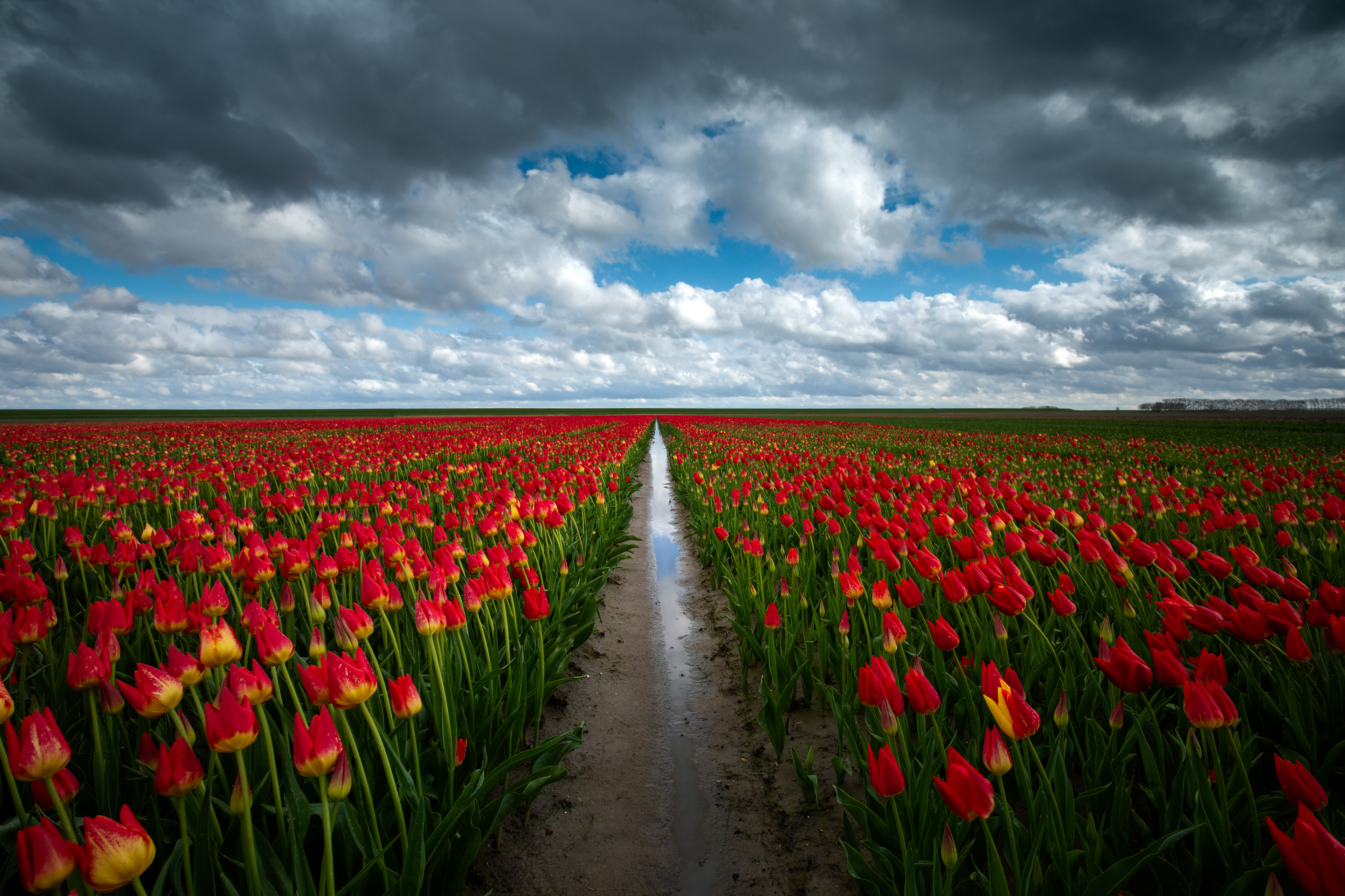 Johannes Kerkhovenpolder | 05-04-'24