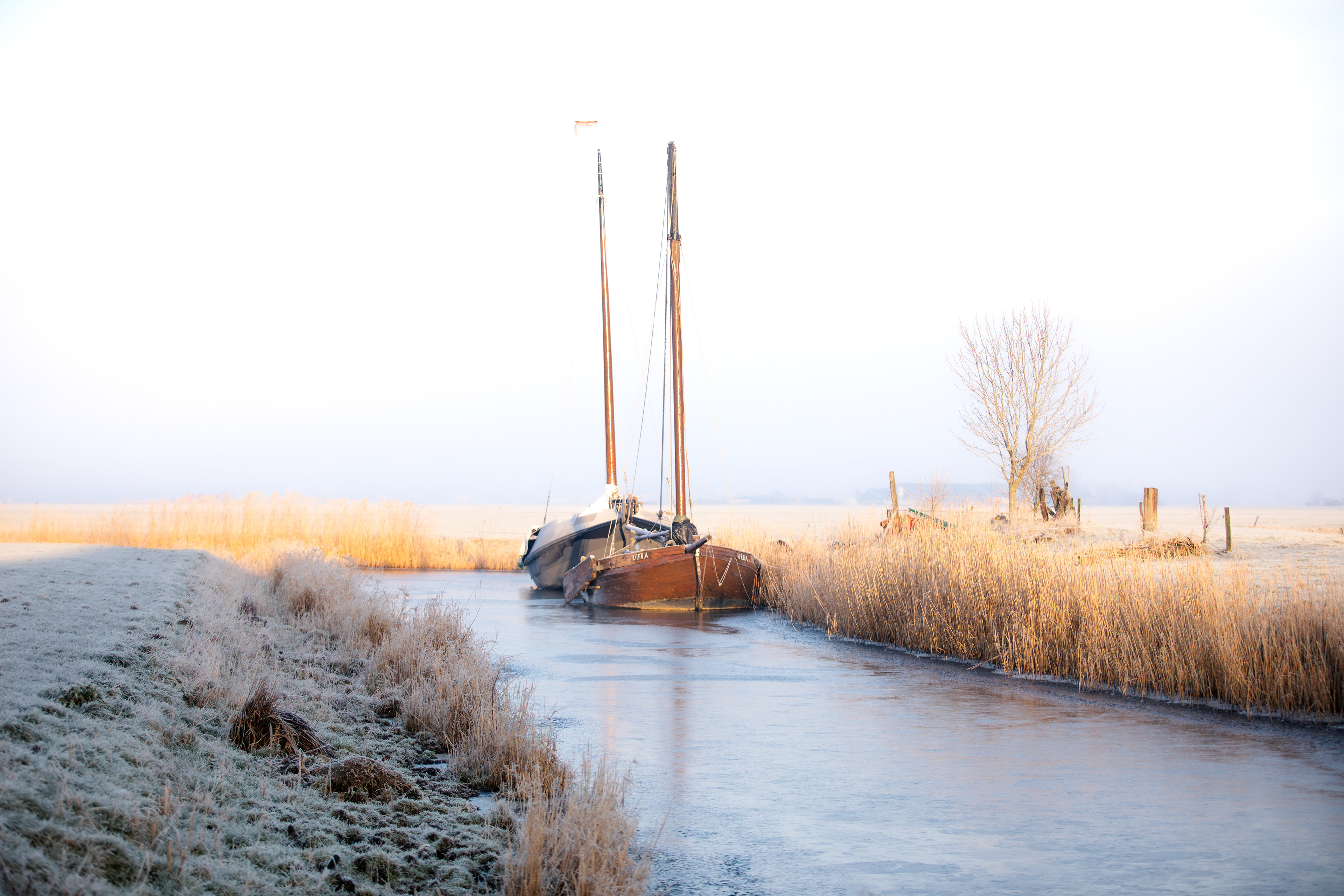 Haventje Uitwierde | 02-02-'25