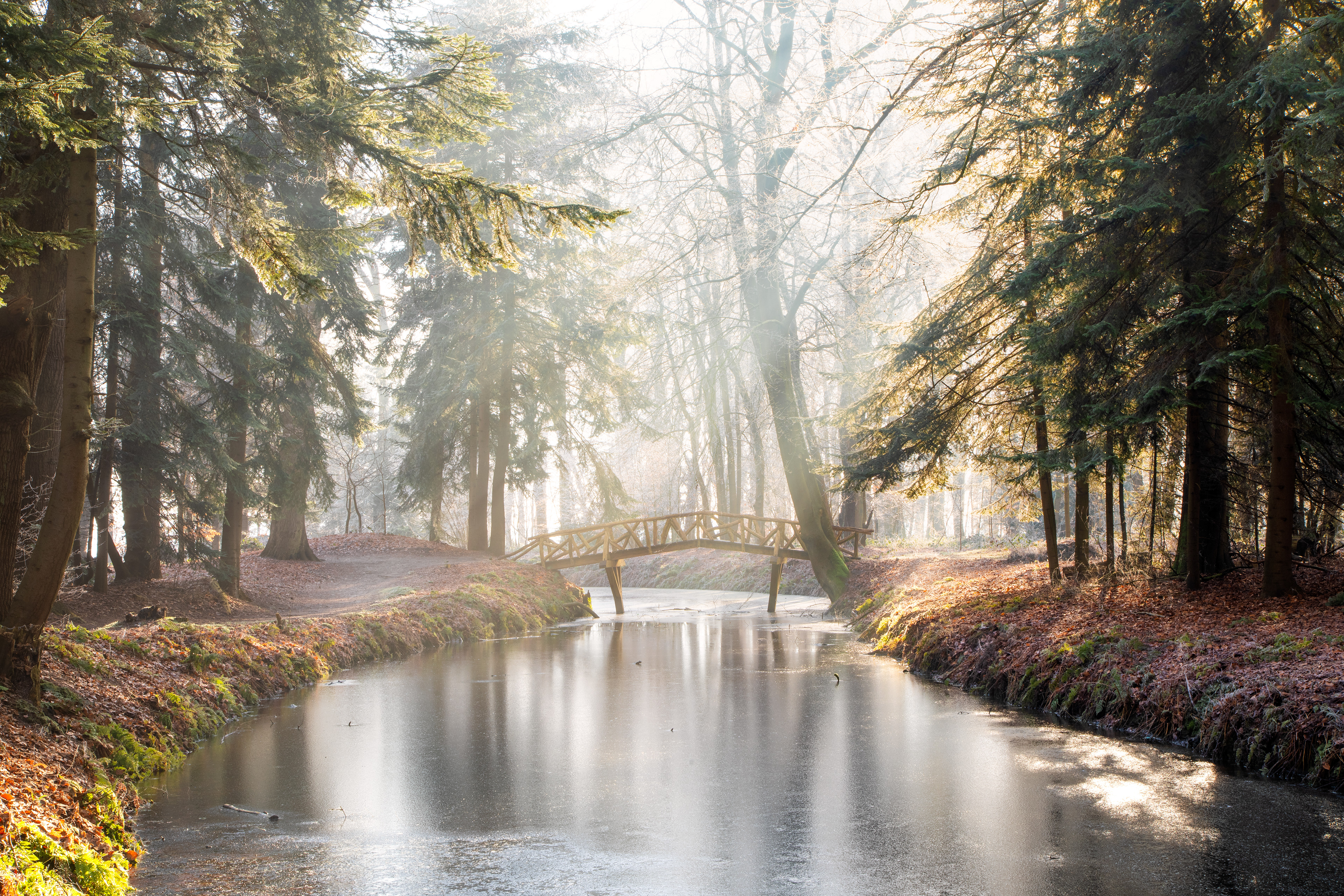 Fraeylemaborg | 02-02-'25