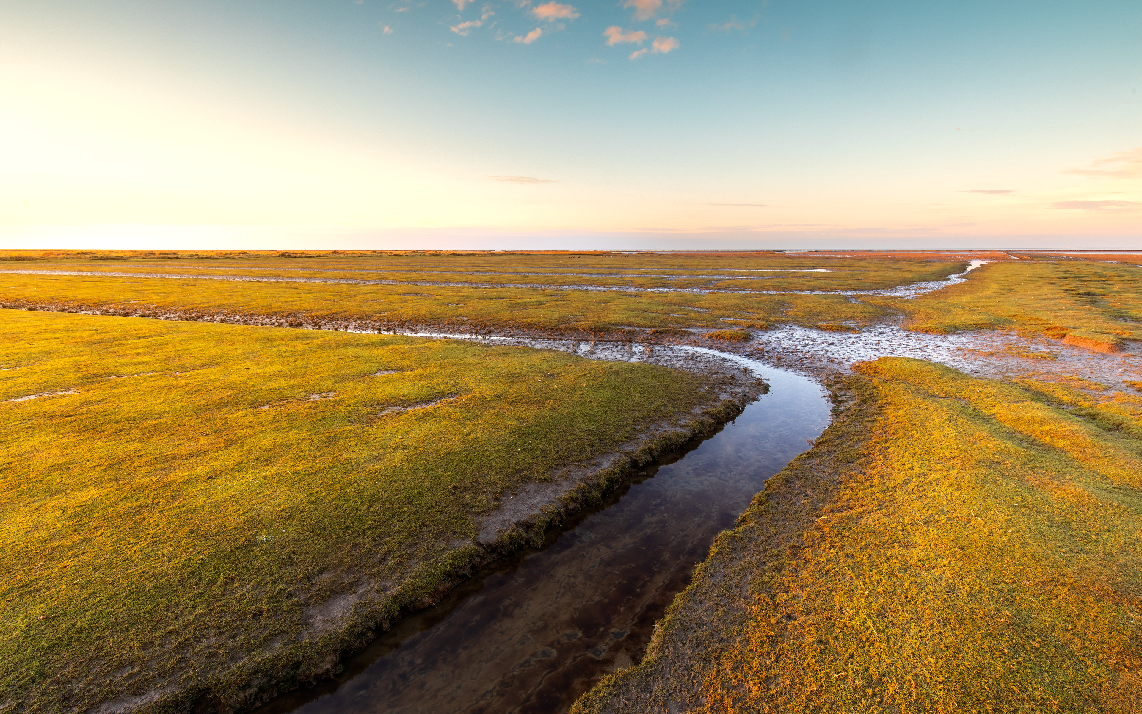 Emmapolder | 30-11-'24