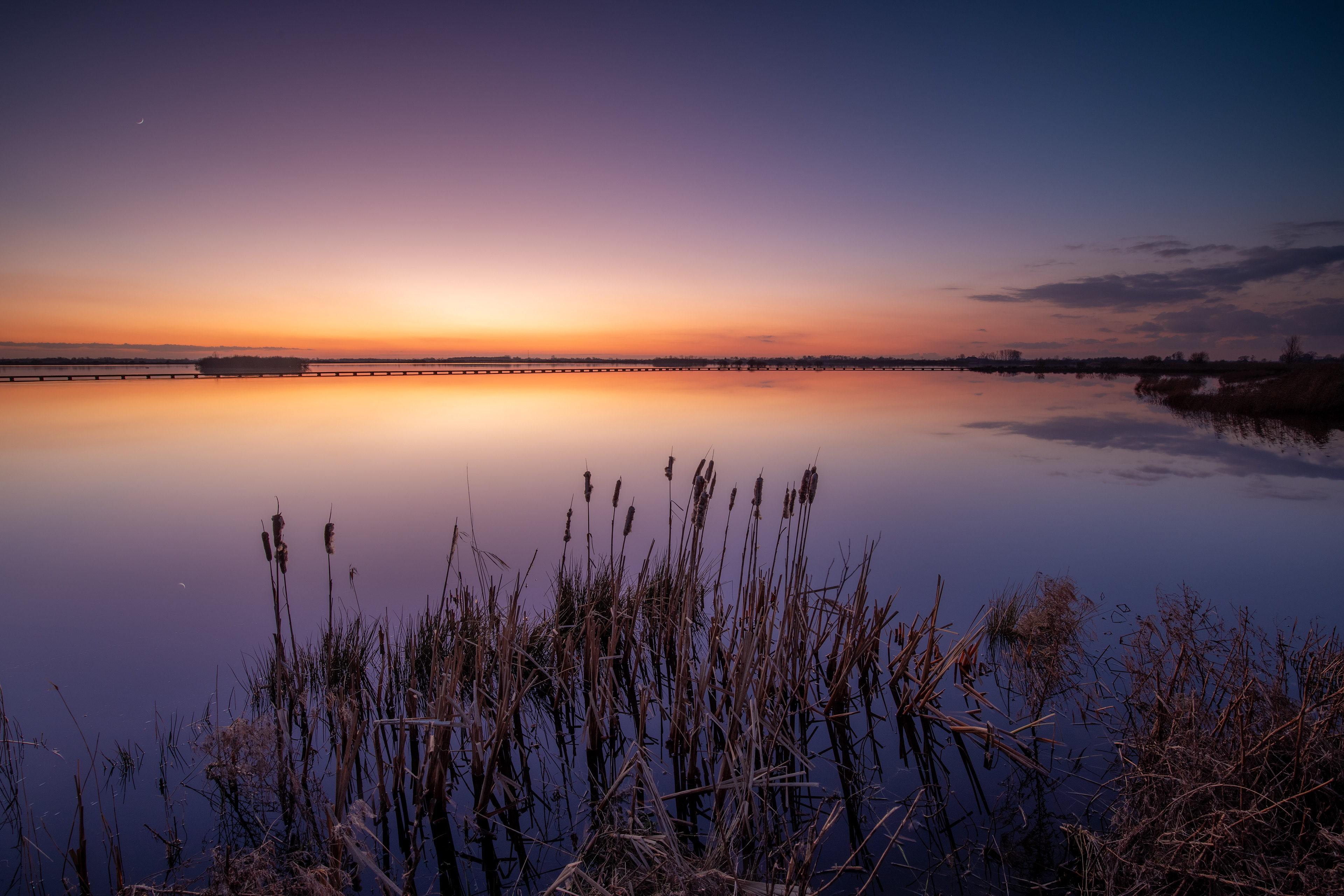 Dannemeer 't Roegwold | 31-01-'25