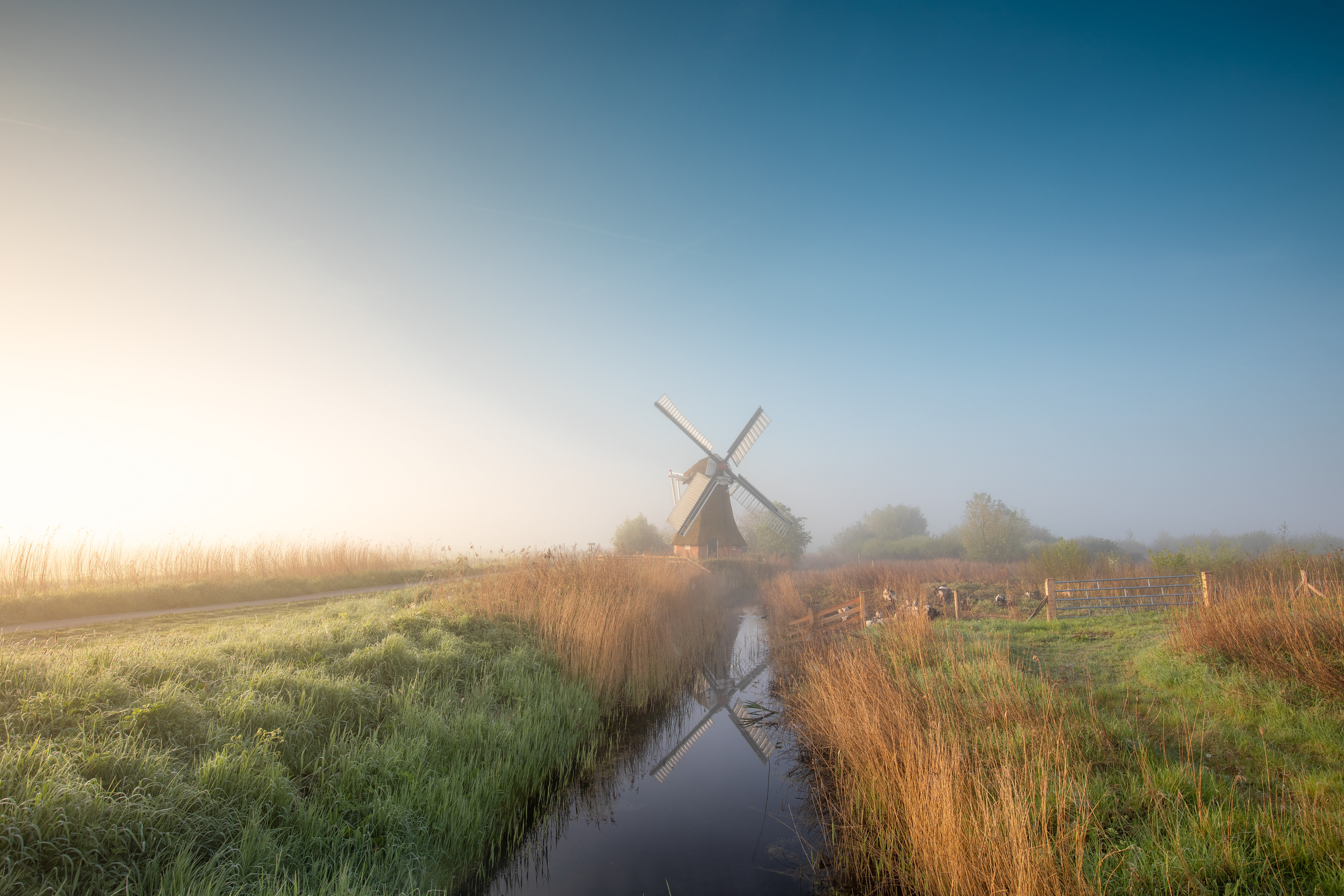 Noordermolen | 30-04-'25