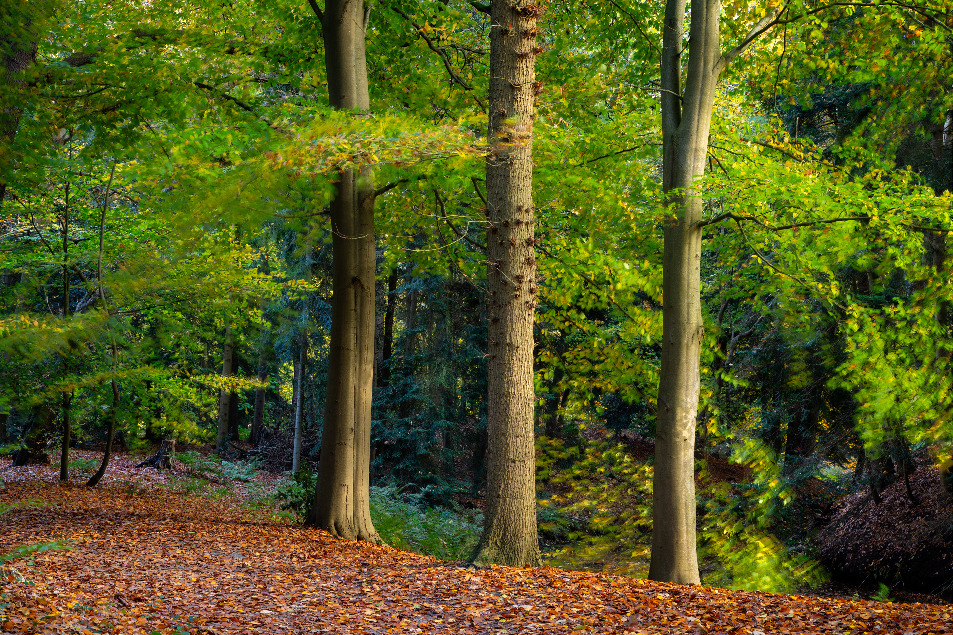 Slochteren | 02-11-'25