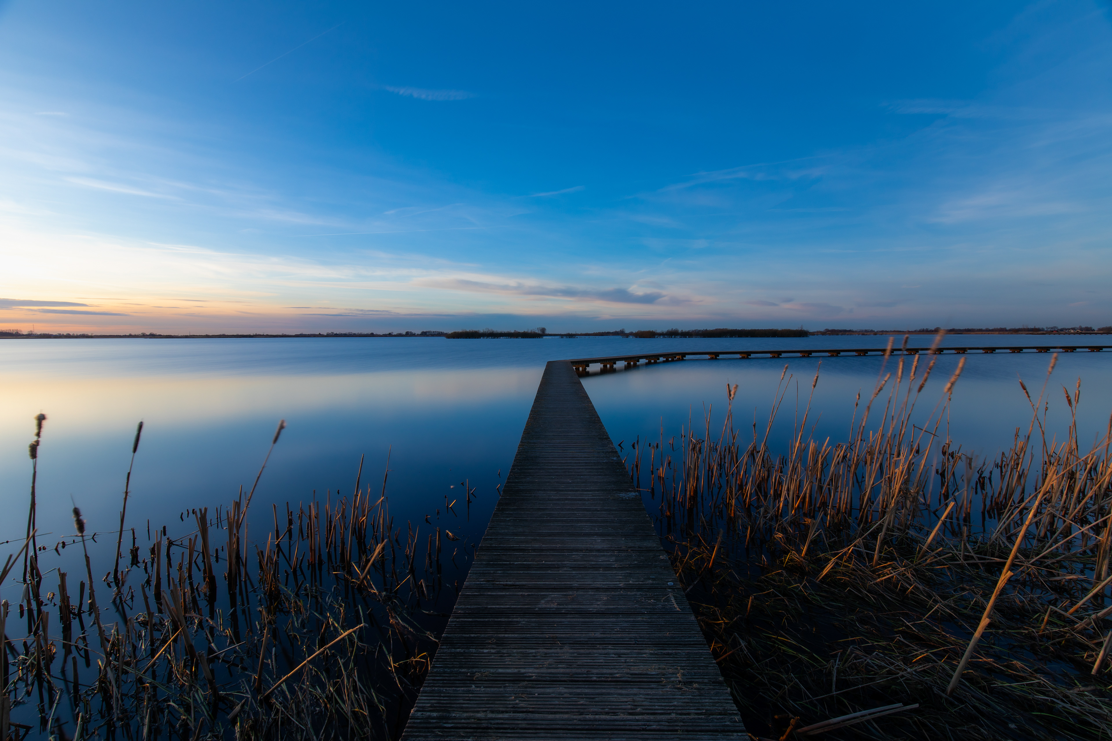 Het Knuppelpad/ Dannemeer | 28-01-'24