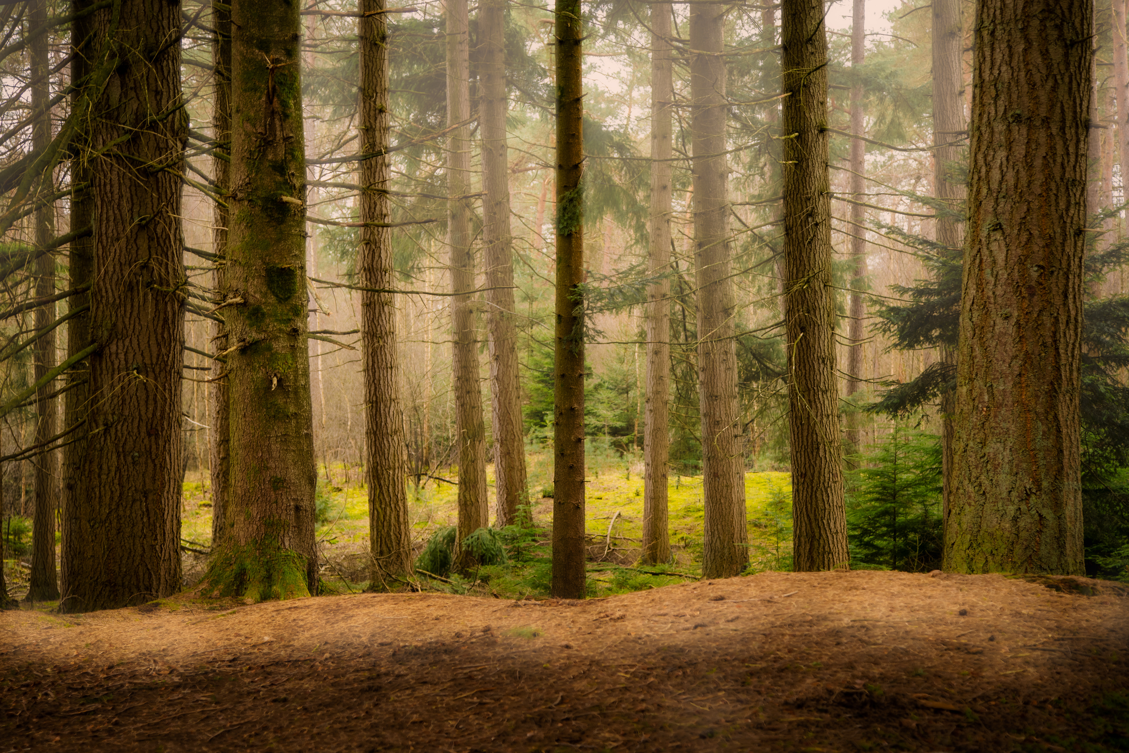 Dwingelderveld | 26-03-23
