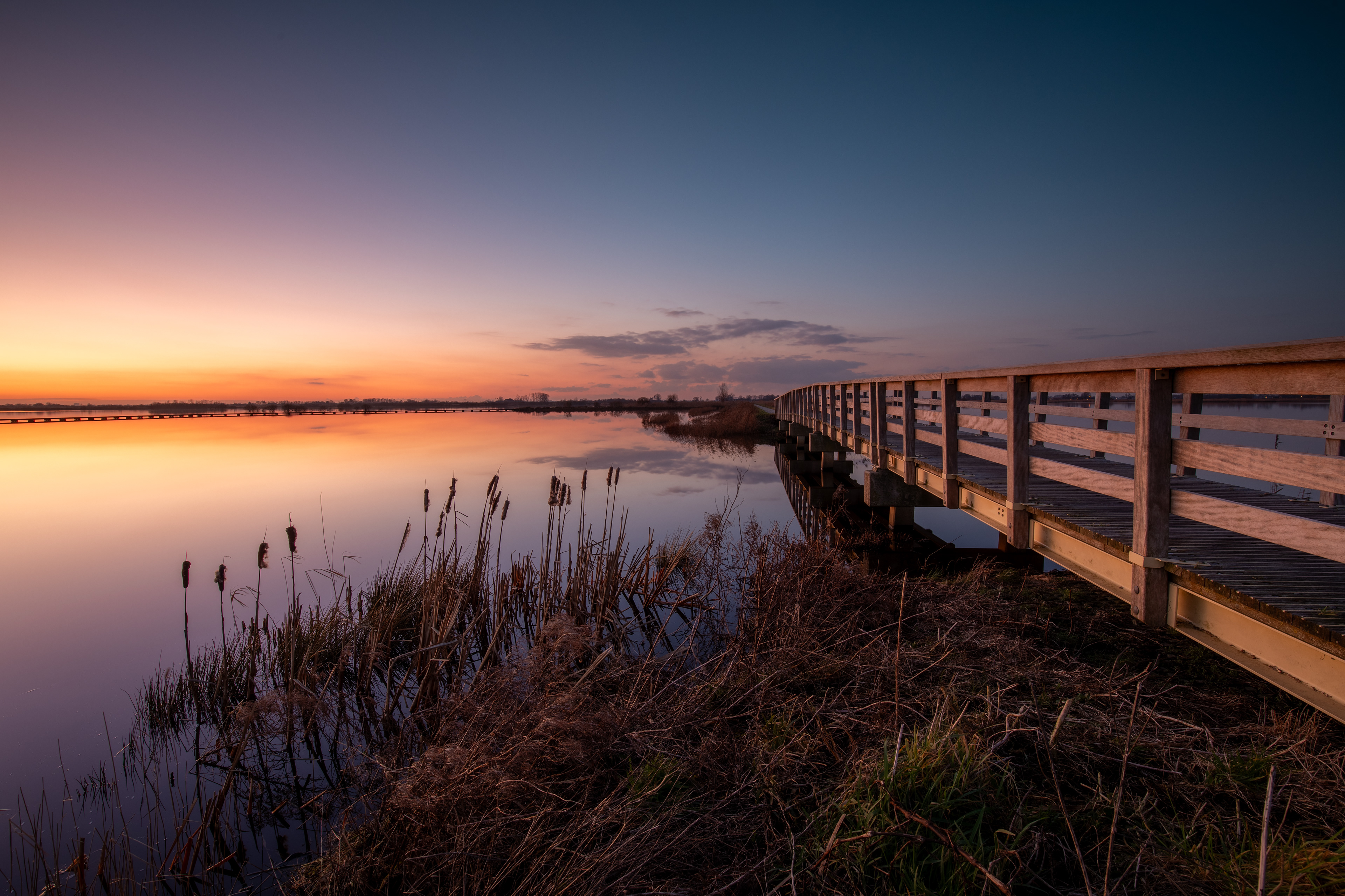 Dannemeer 't Roegwold | 31-01-'25