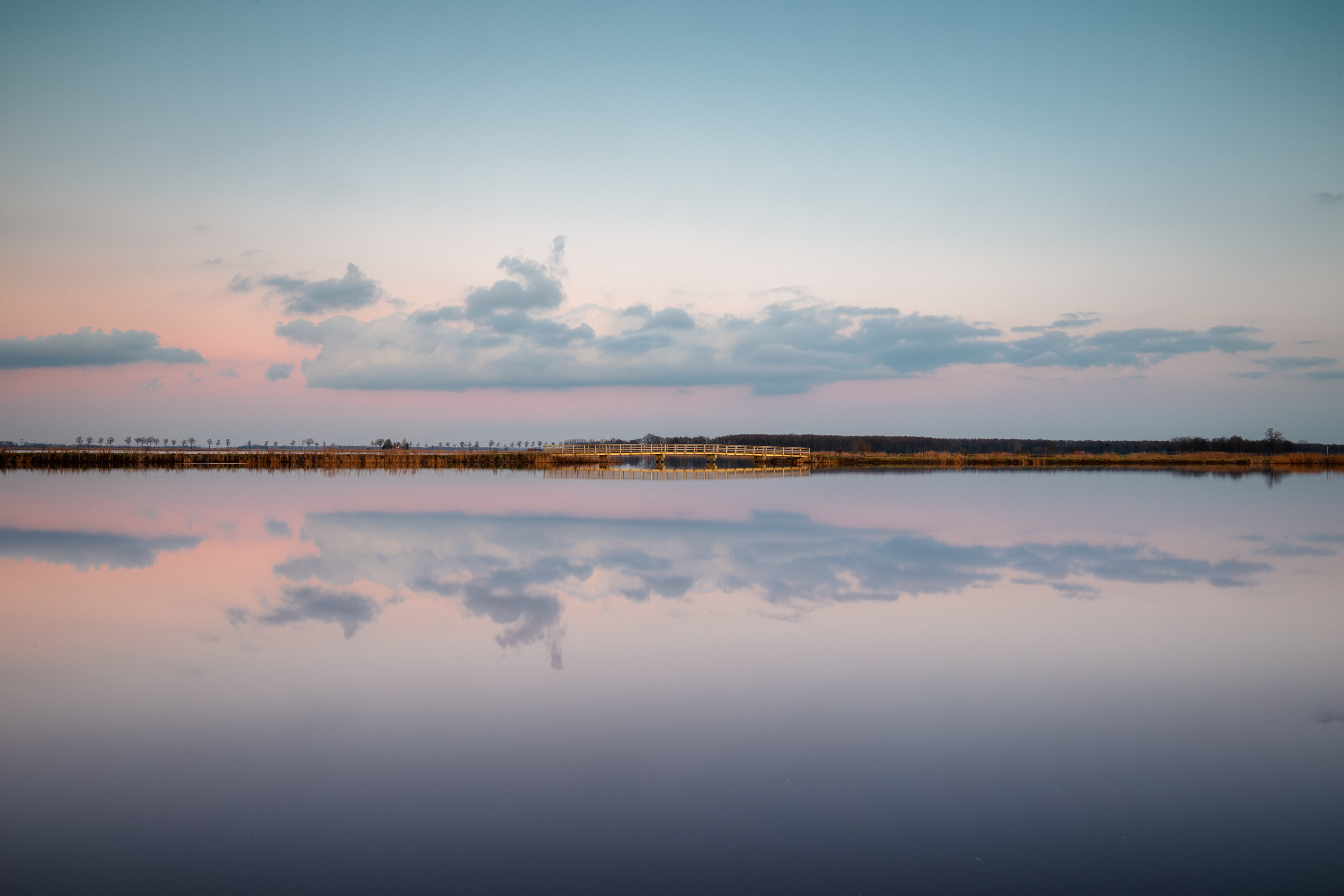 Dannemeer 't Roegwold | 31-01-'25