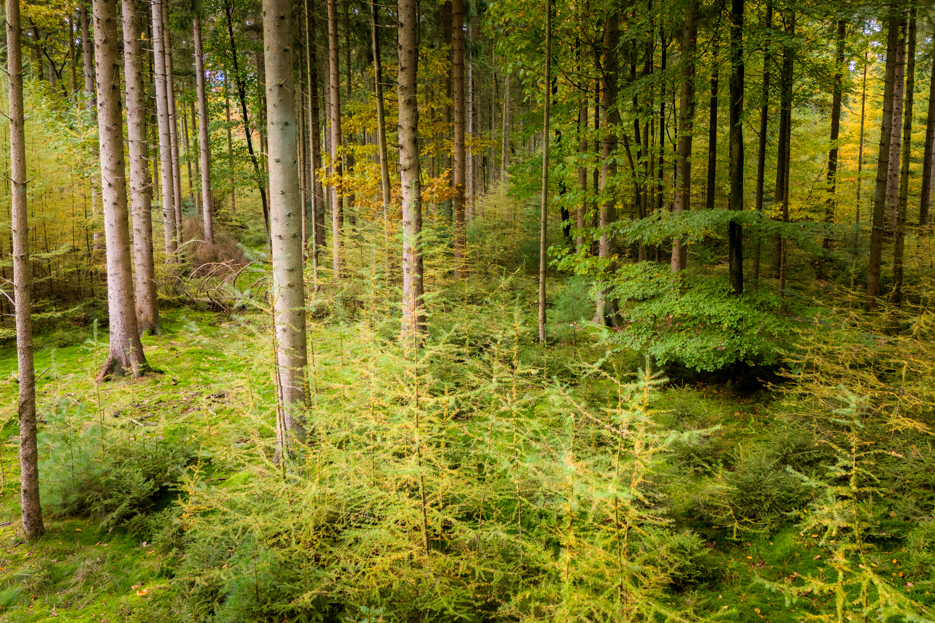 Drouwen | 29-10-23
