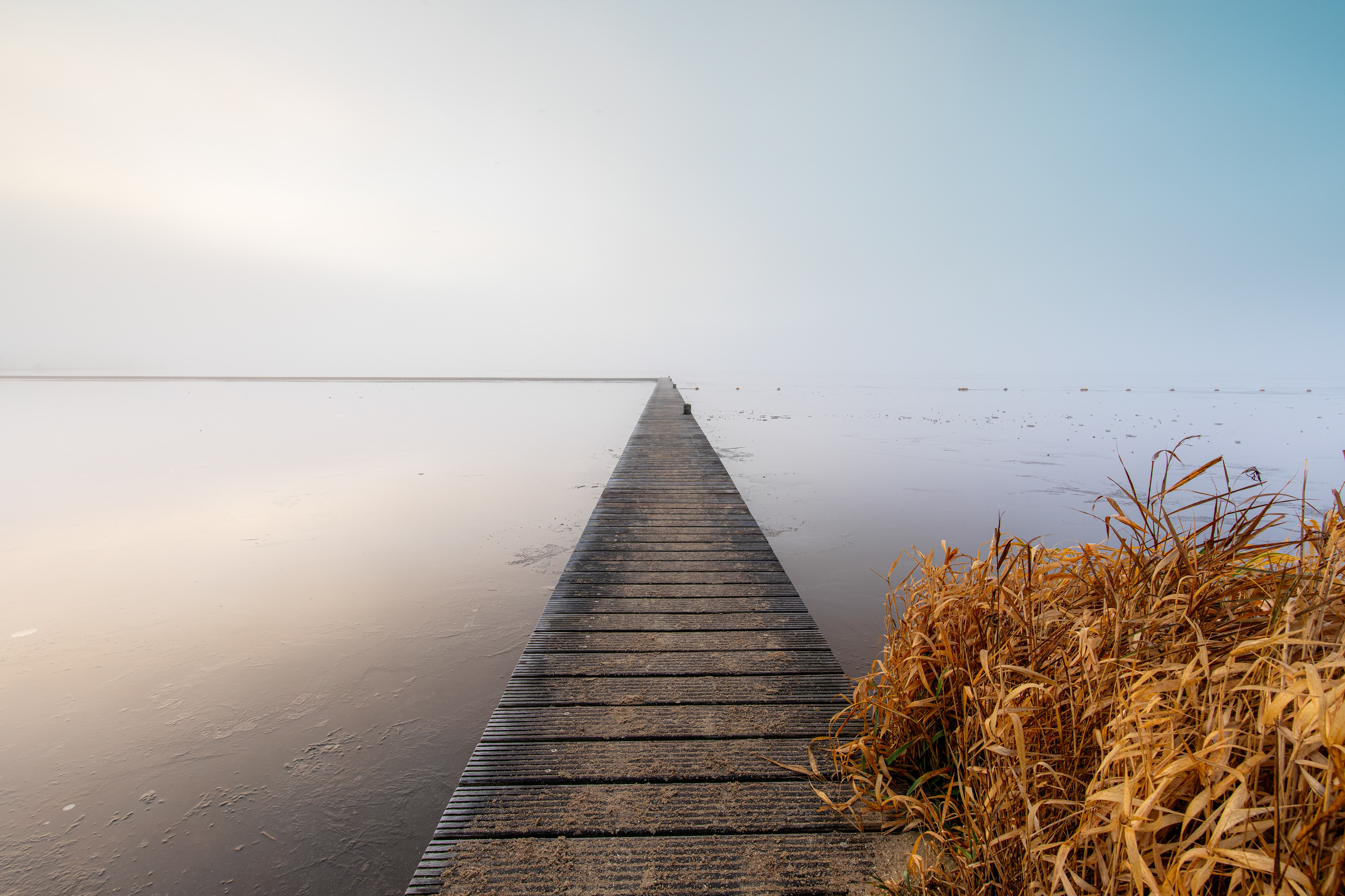 Schildmeer | 28-12-'25