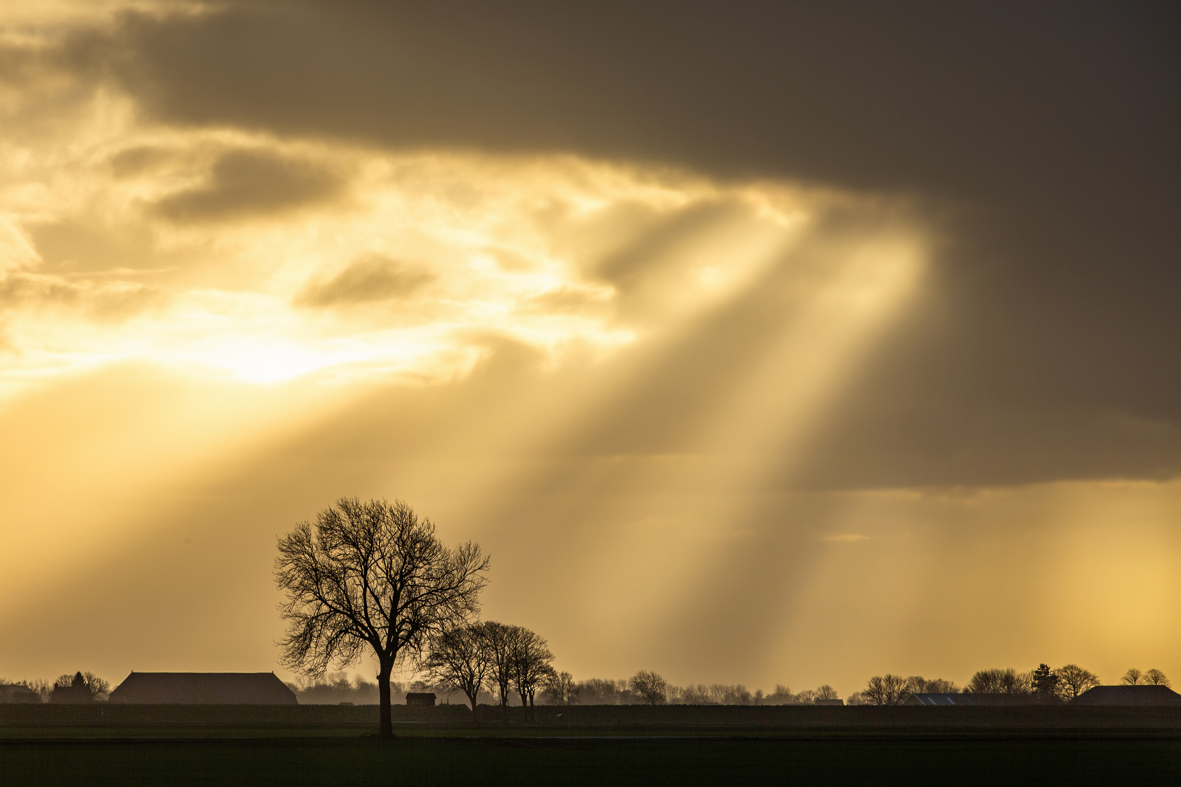 05-02-'22 | Carel Coenraadpolder