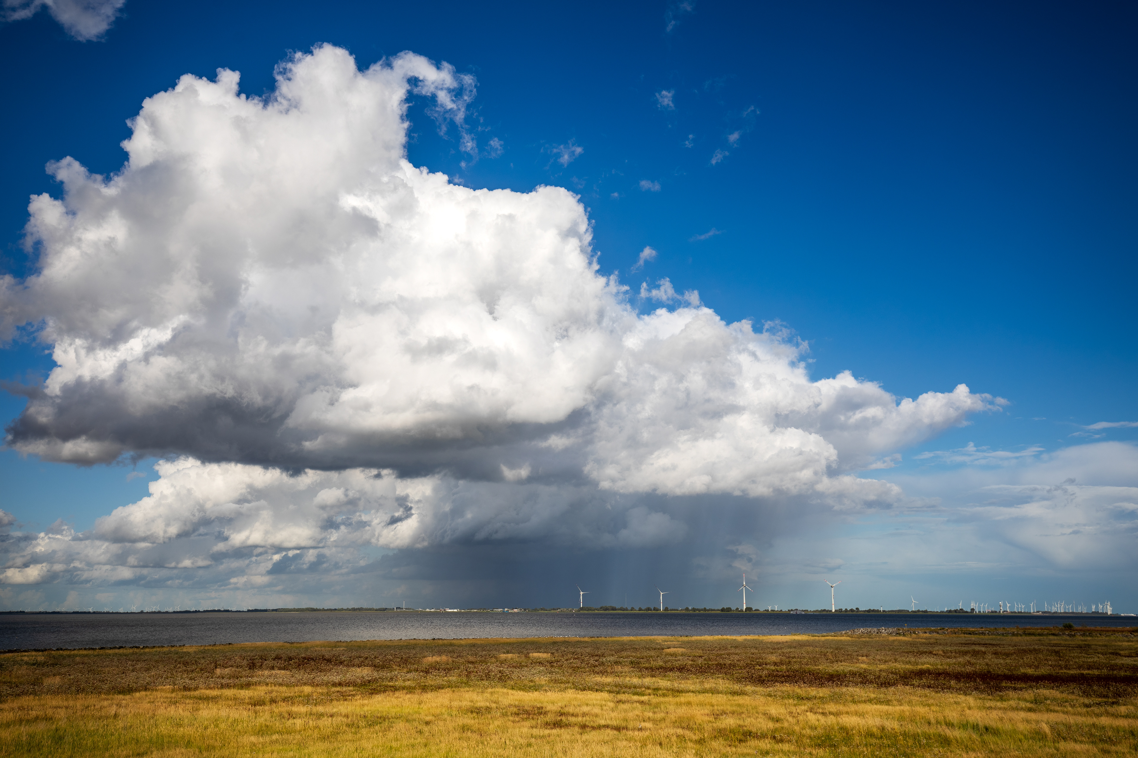 Strand Delfzijl004