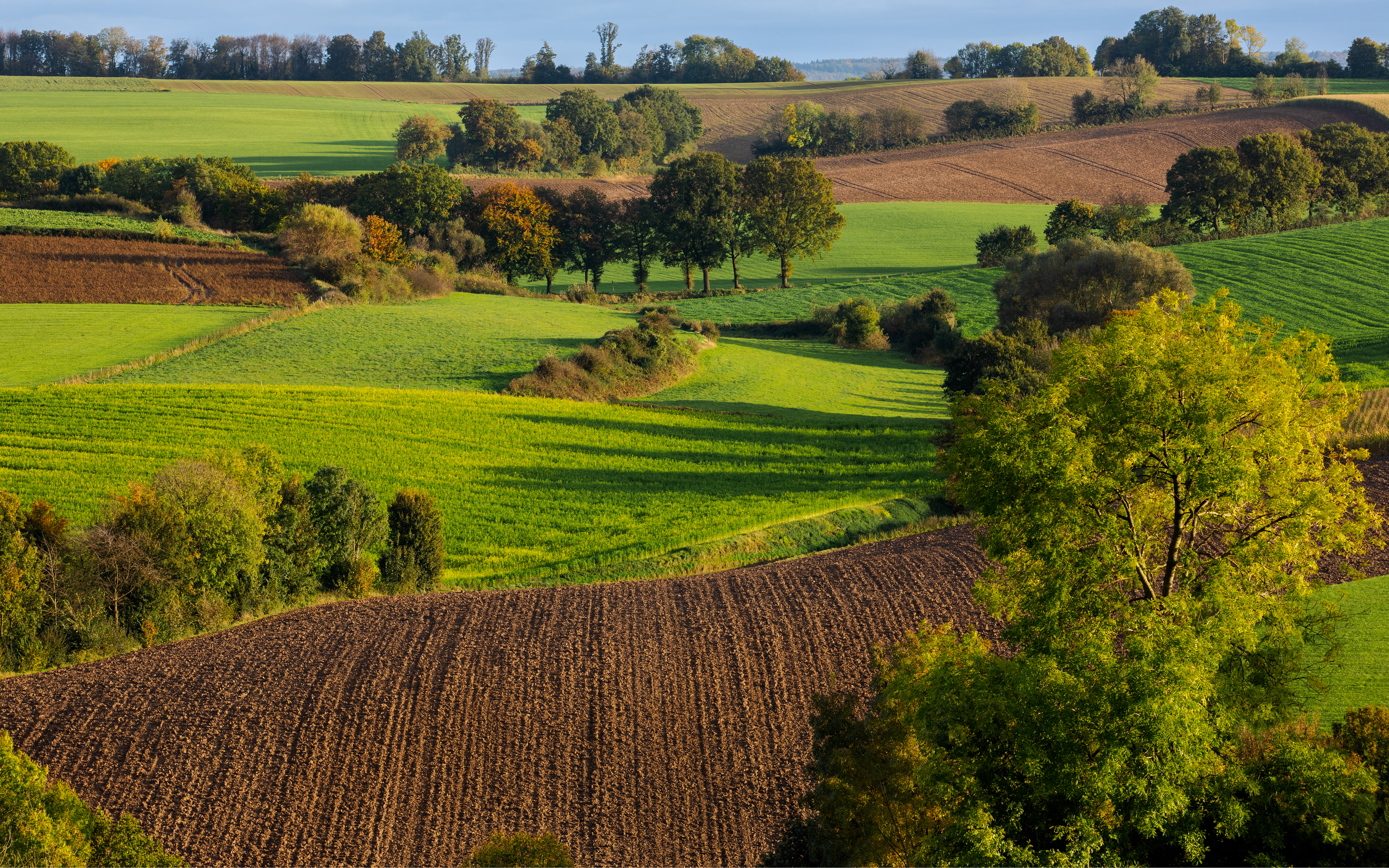 Vrakelberg | 19-10-'24
