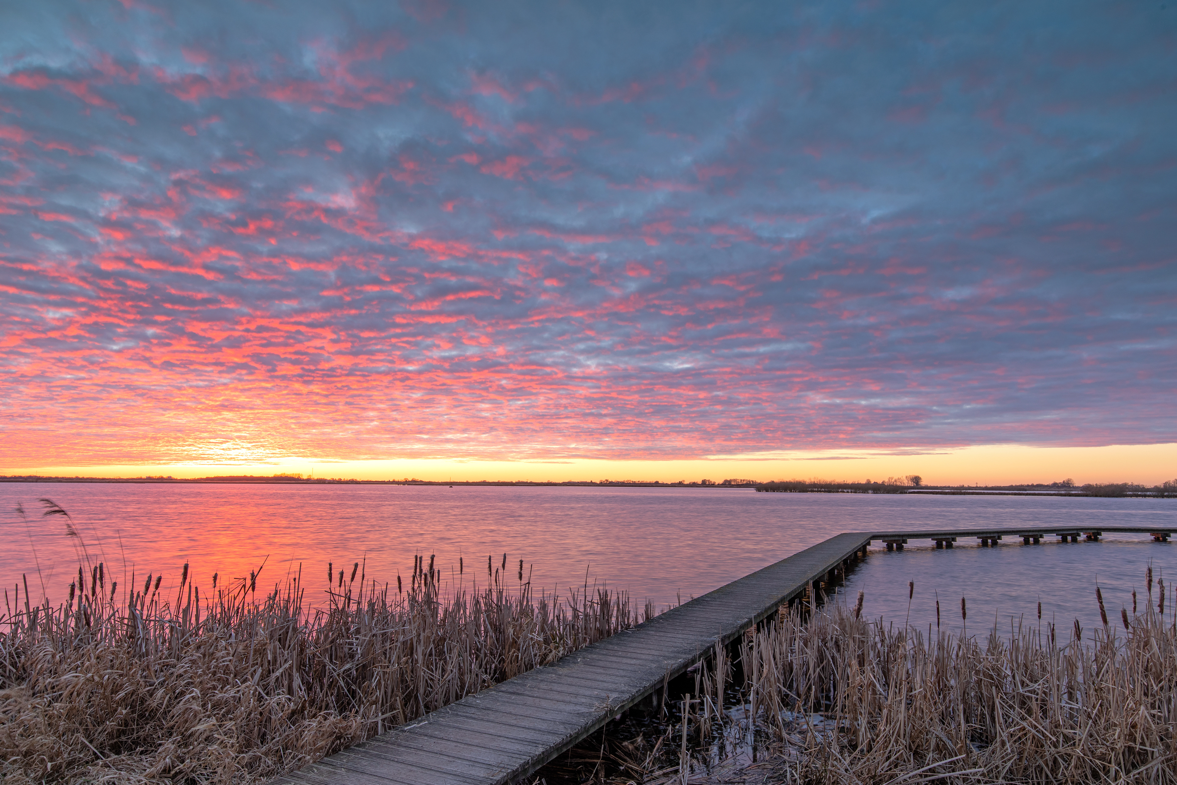 Dannemeer | 27-02-23