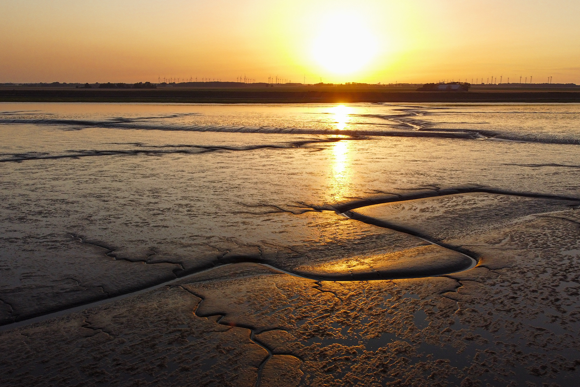De Dollard